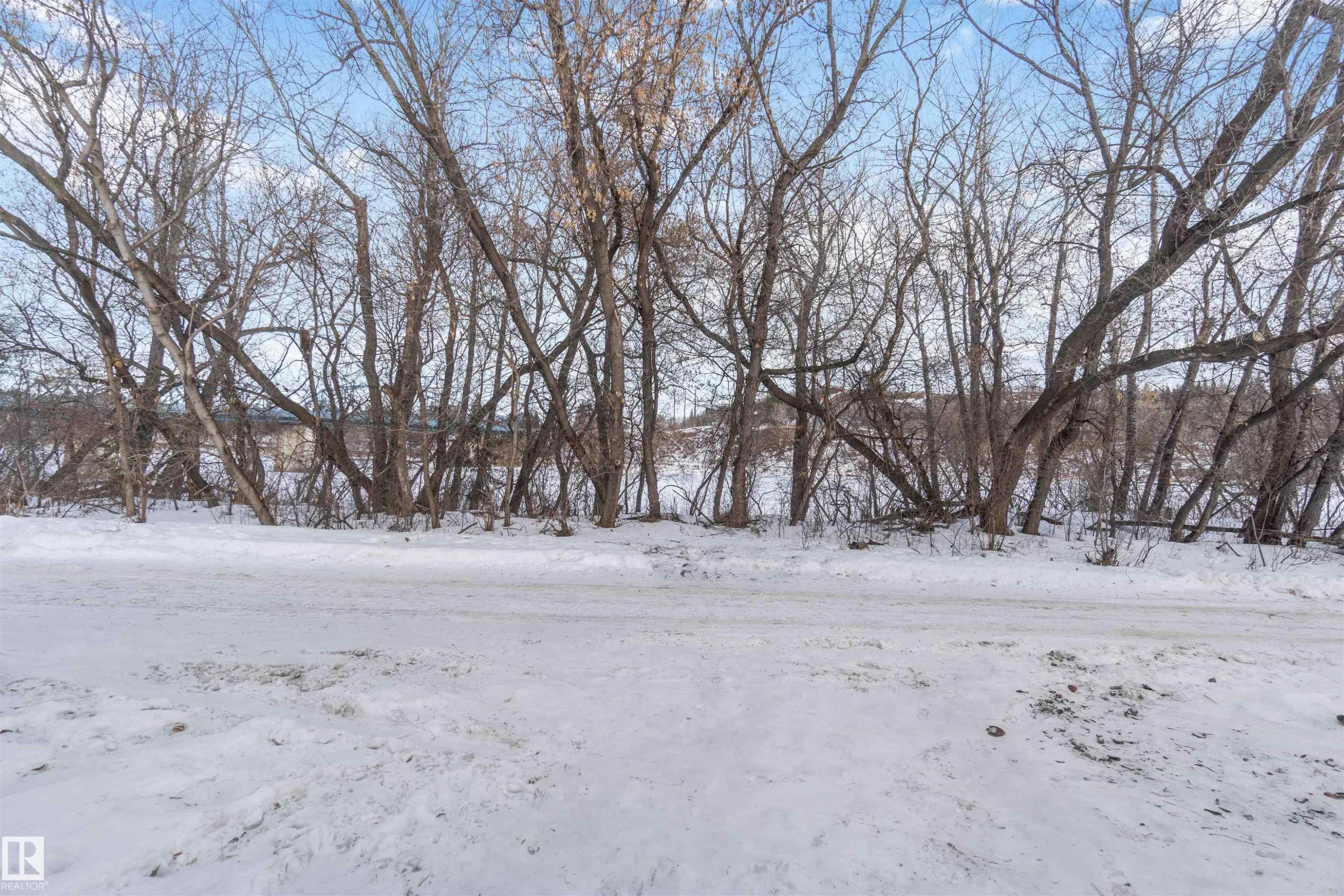 10207 88 Street, Edmonton, AB - Outdoor With View