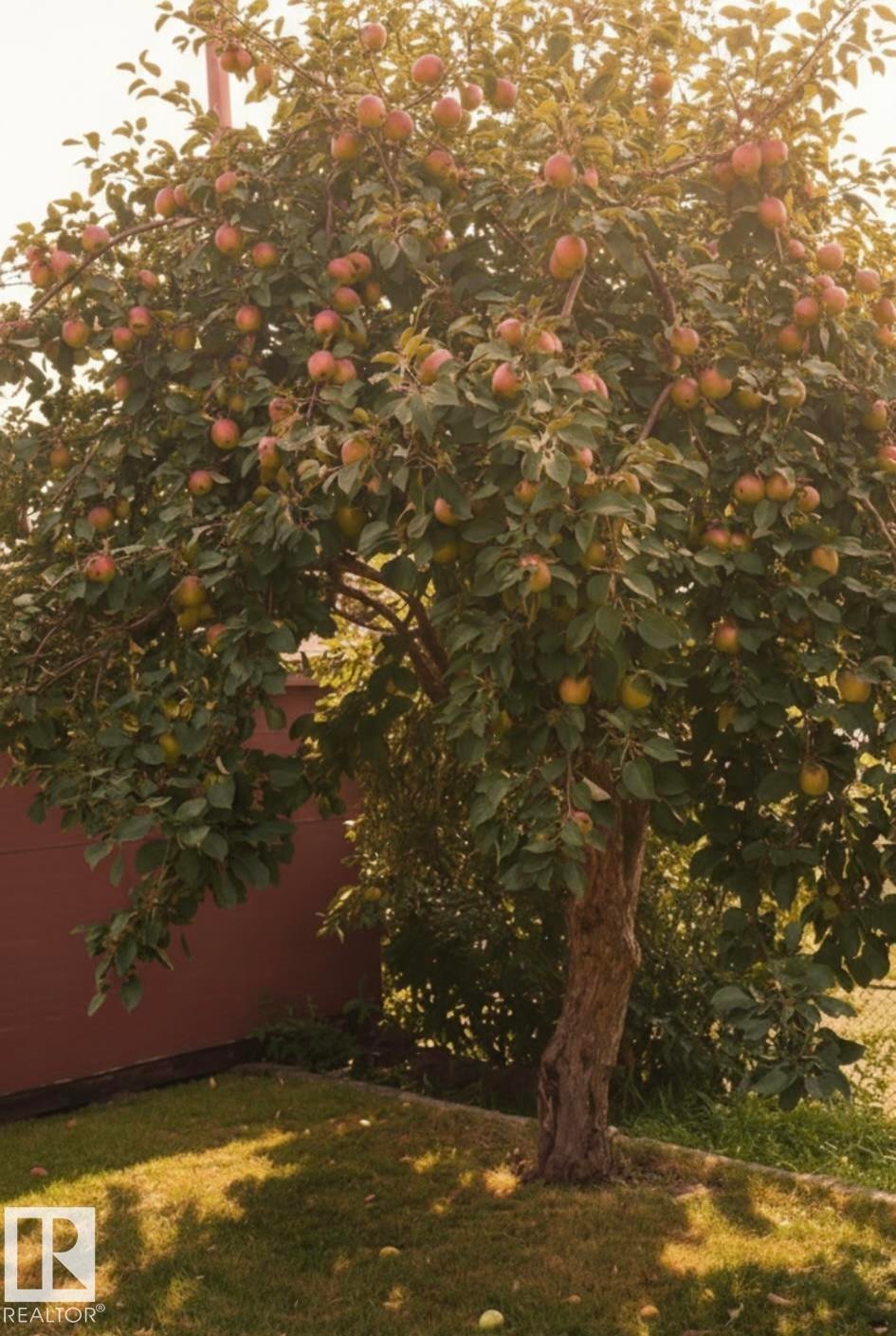 36 Sunset Blvd, St. Albert, AB - Outdoor