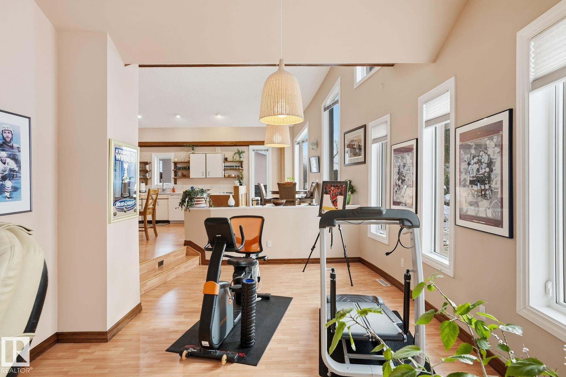 73078 Southshore Drive, Widewater, AB - Indoor Photo Showing Gym Room