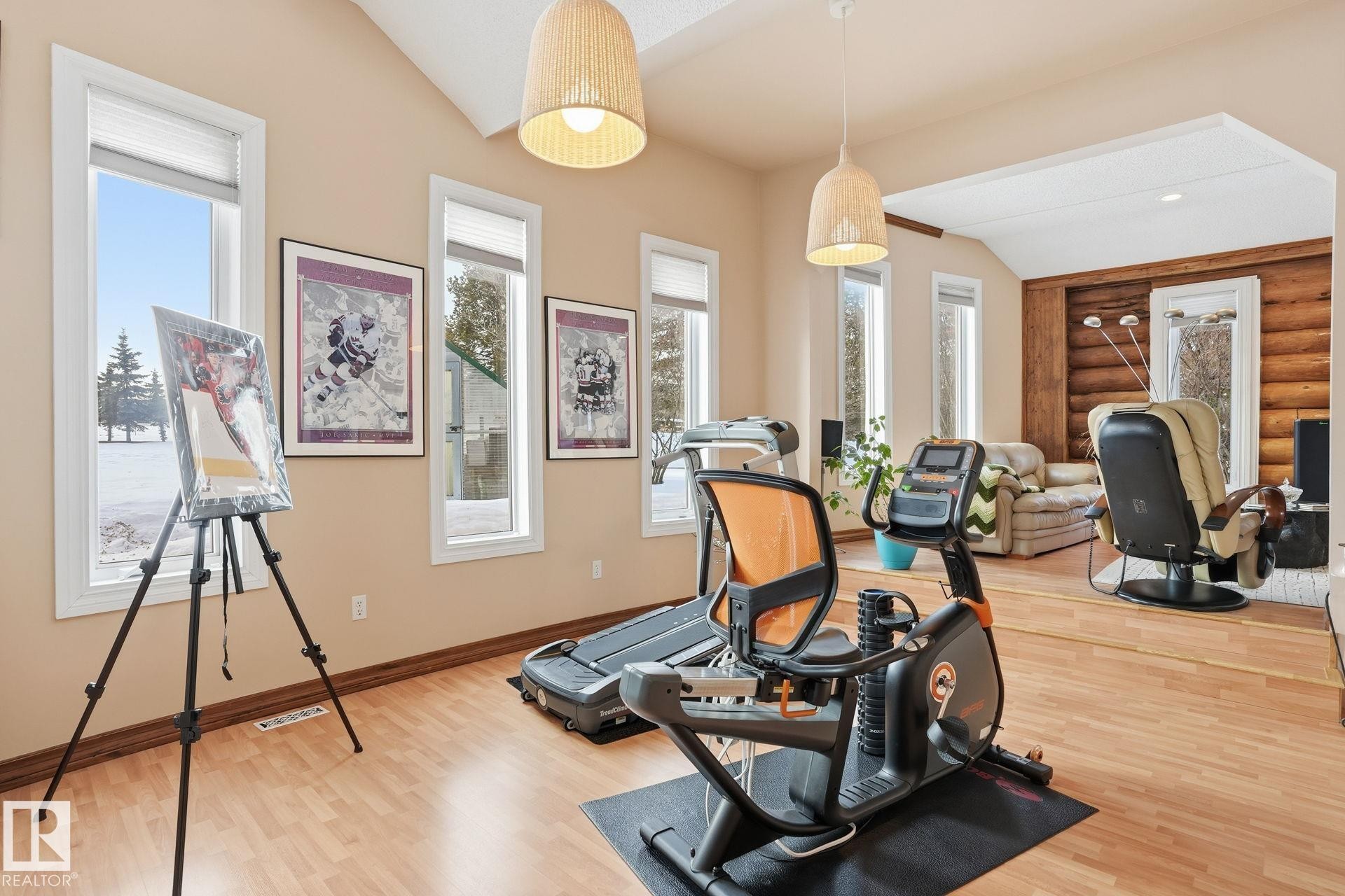 73078 Southshore Drive, Widewater, AB - Indoor Photo Showing Gym Room