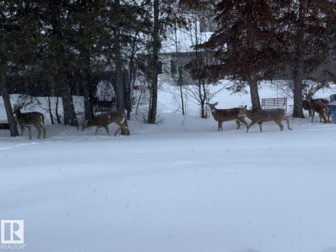 73078 Southshore Drive, Widewater, AB - Outdoor