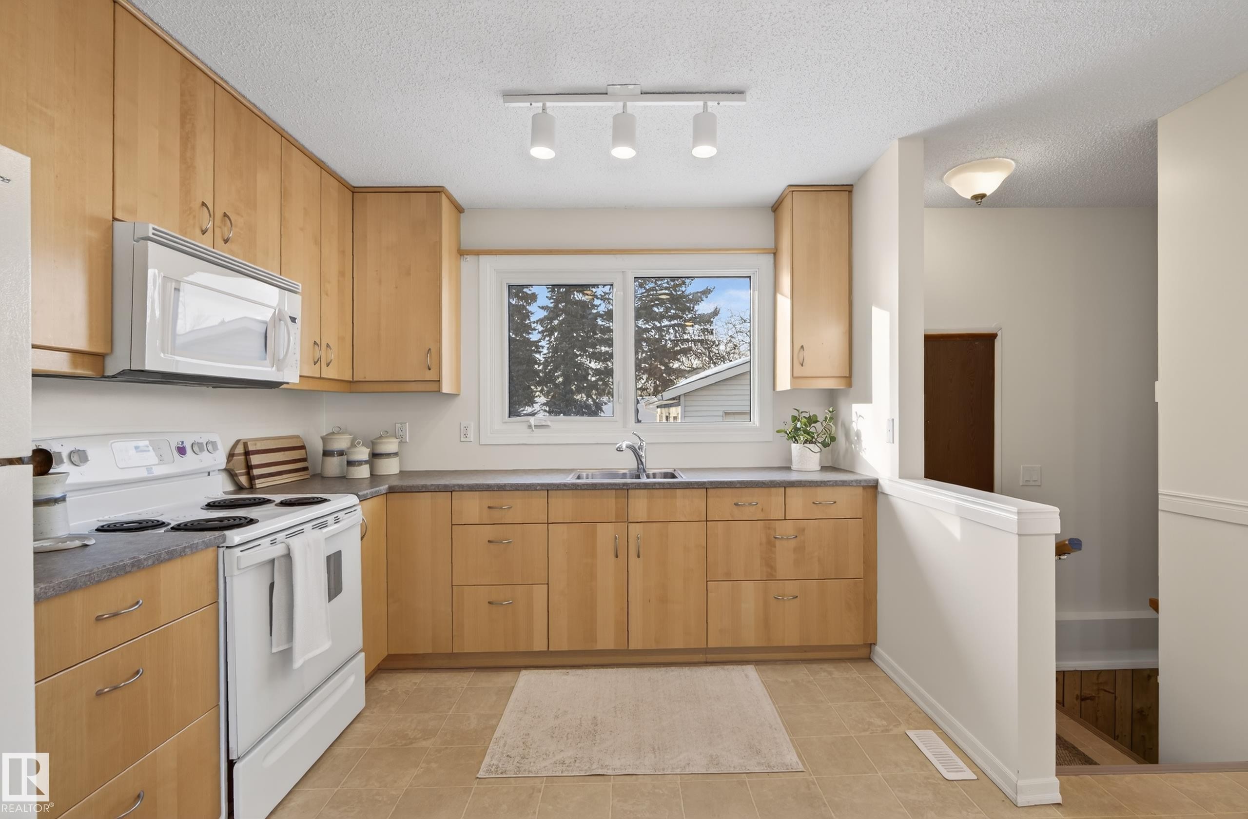 1704 89 Street, Edmonton, AB - Indoor Photo Showing Kitchen With Double Sink