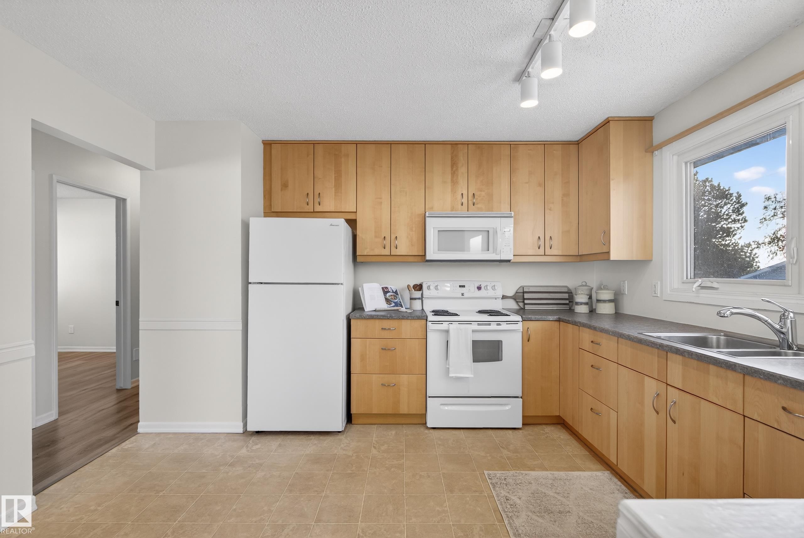 1704 89 Street, Edmonton, AB - Indoor Photo Showing Kitchen With Double Sink
