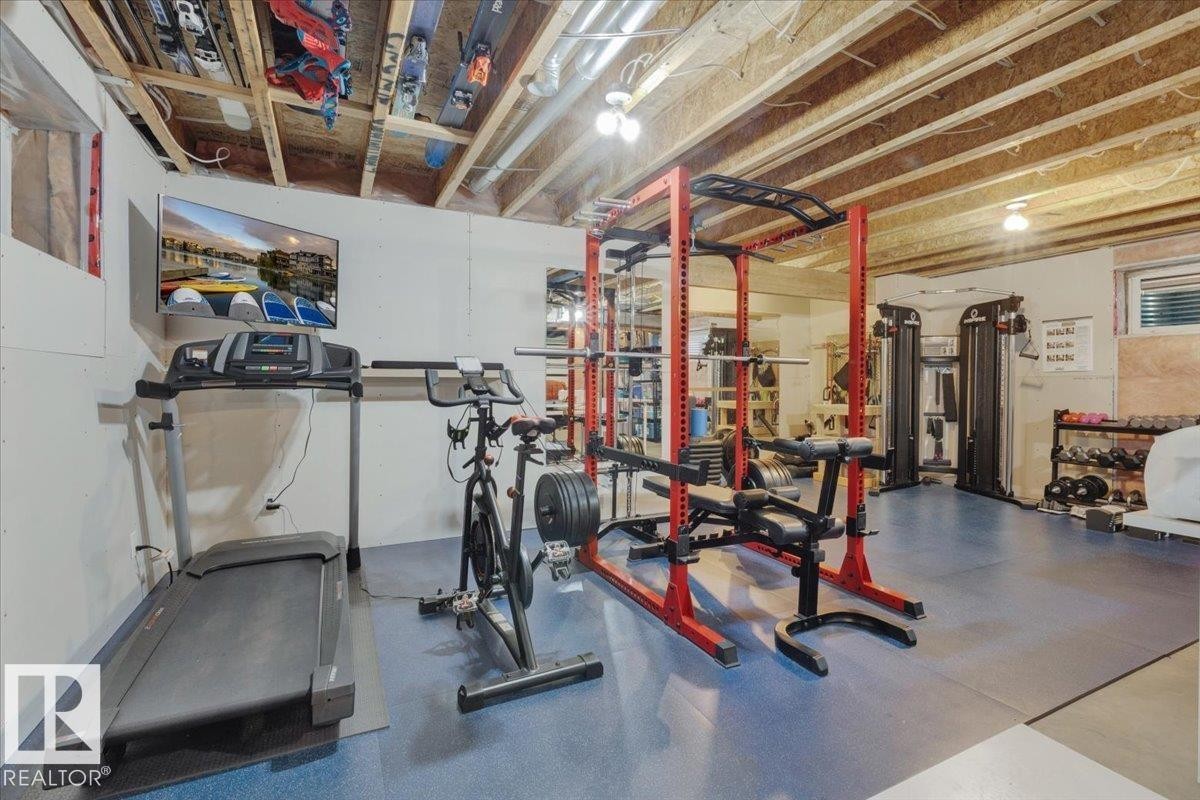 21933 94A Avenue, Edmonton, AB - Indoor Photo Showing Gym Room