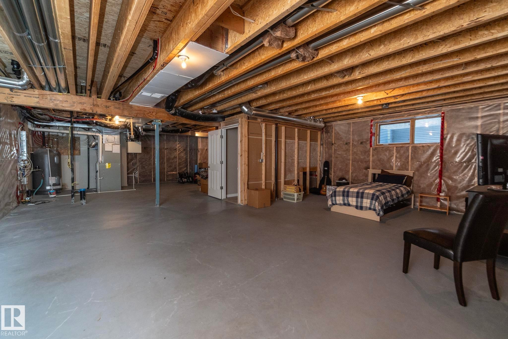 13020 207 Street, Edmonton, AB - Indoor Photo Showing Basement