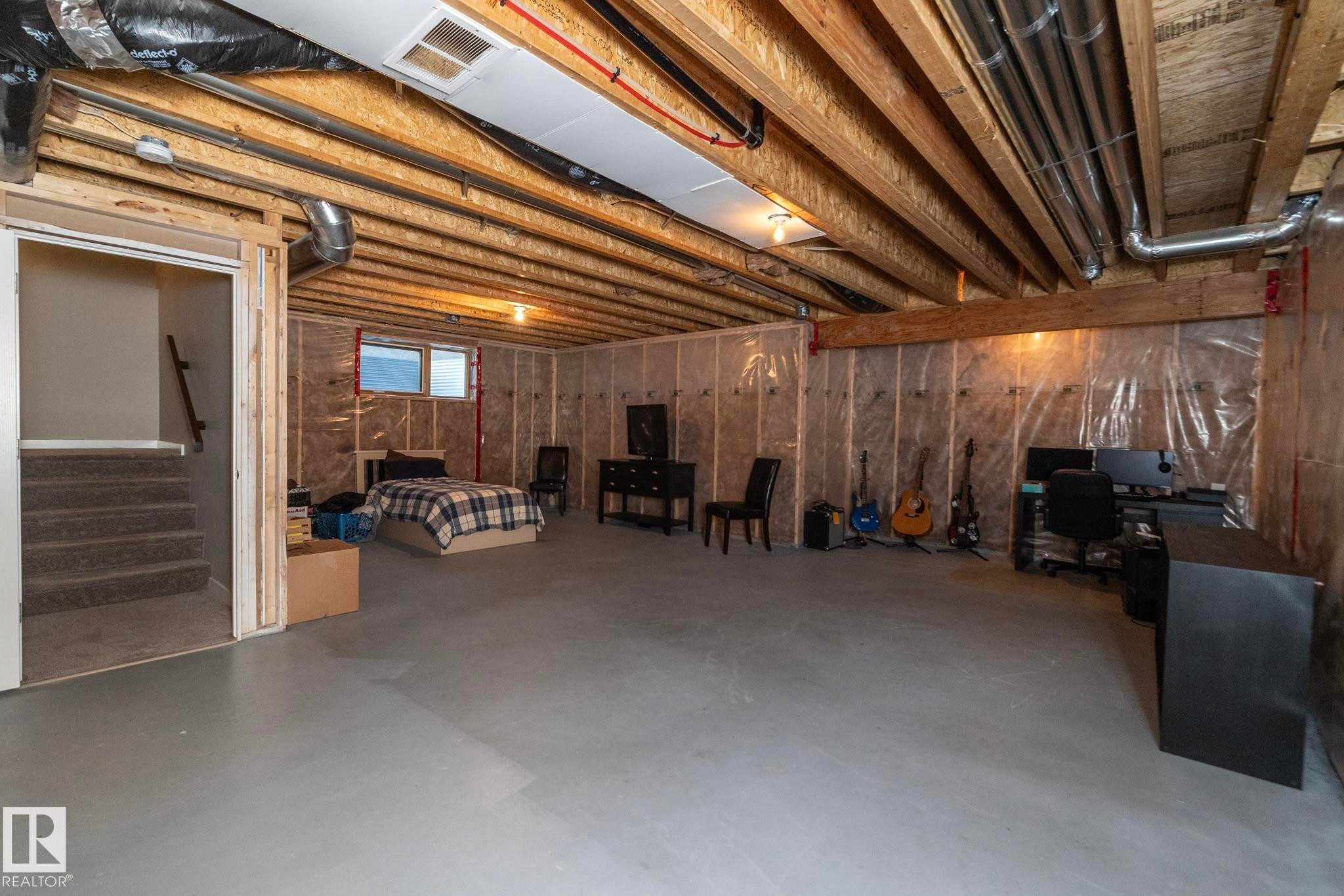 13020 207 Street, Edmonton, AB - Indoor Photo Showing Basement
