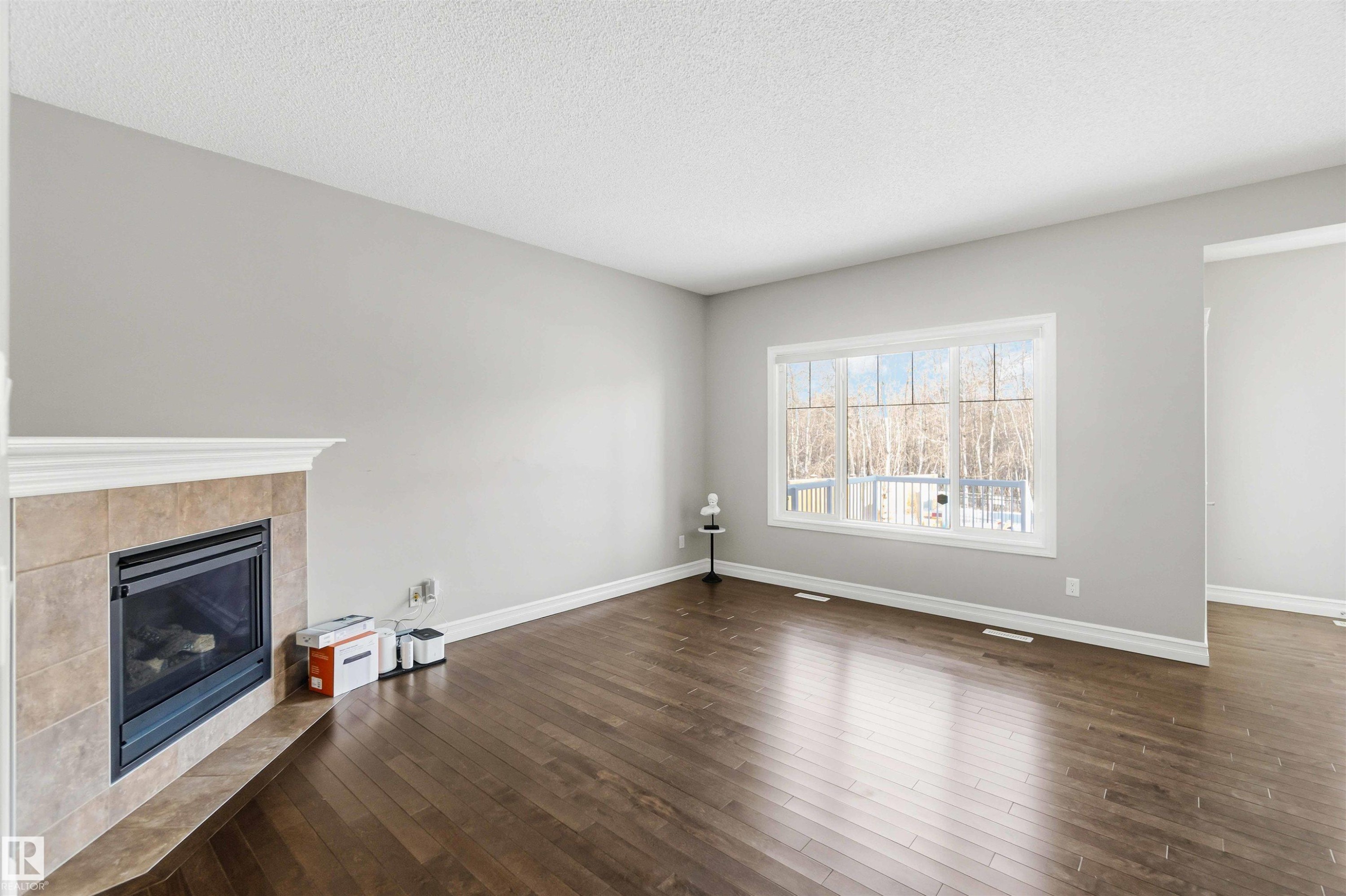 3683 8 Street, Edmonton, AB - Indoor Photo Showing Living Room With Fireplace
