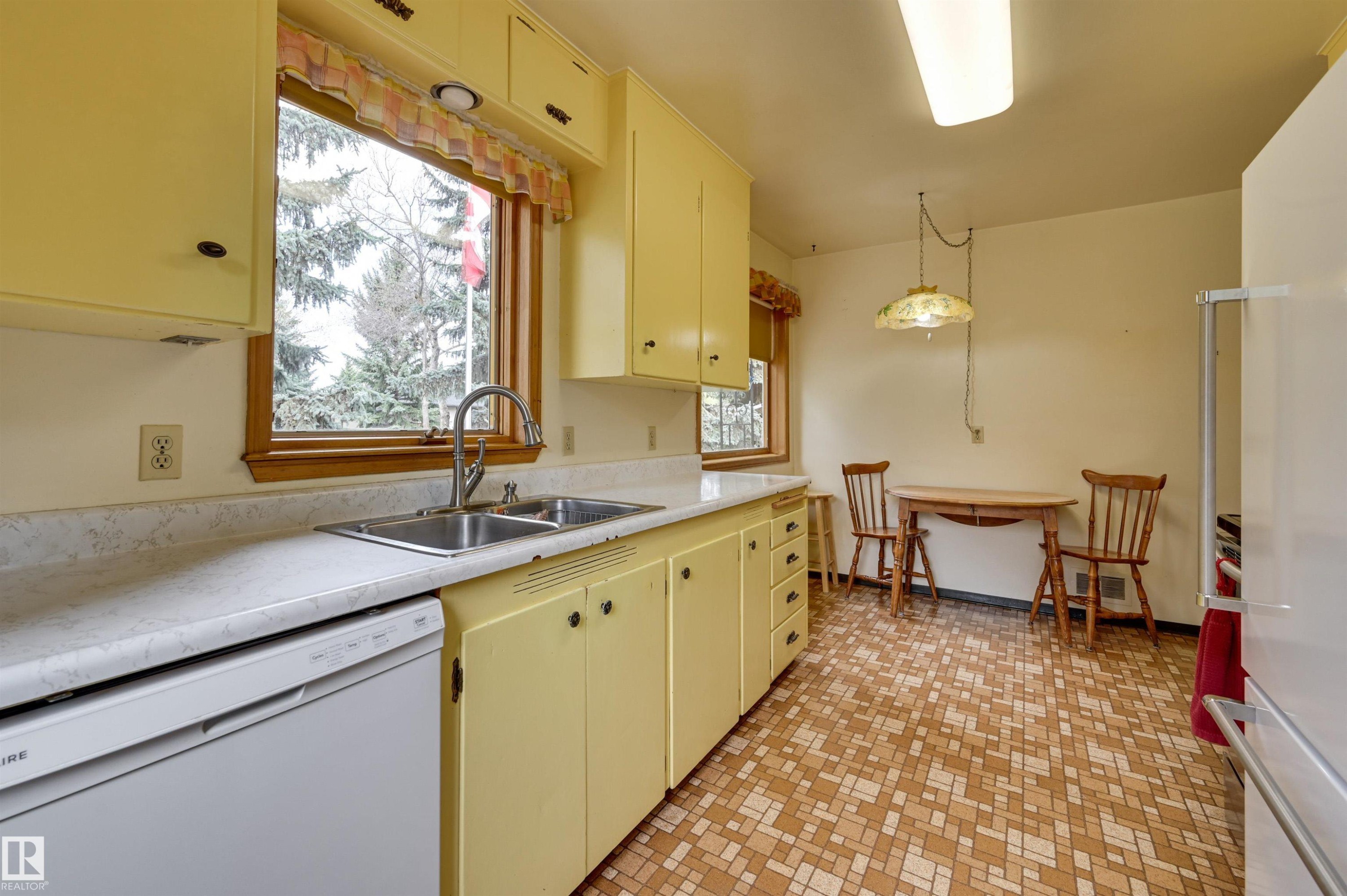 9725 143 Street, Edmonton, AB - Indoor Photo Showing Kitchen With Double Sink