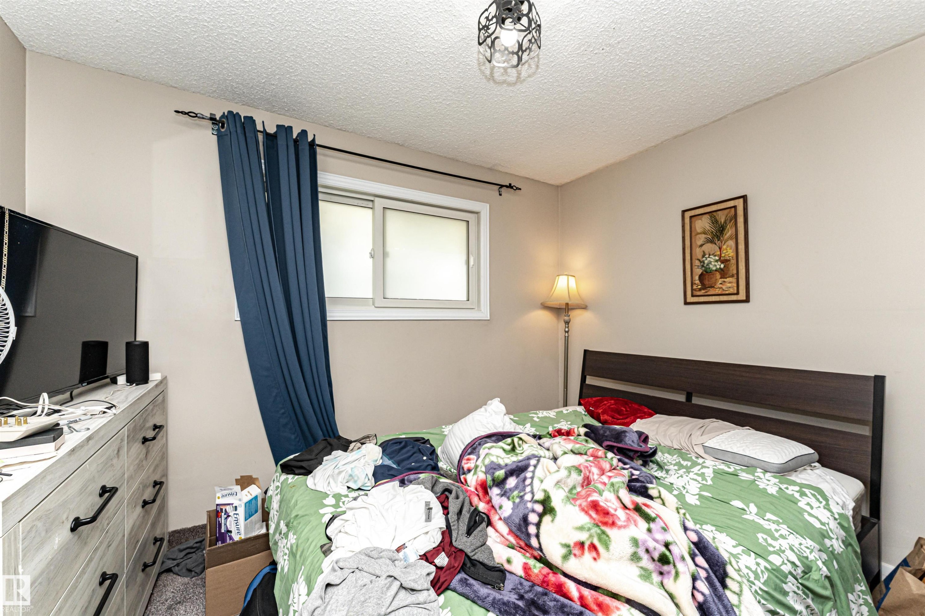 Bedroom with a textured ceiling - 2349 Millbourne Road W, Edmonton, AB - Indoor Photo Showing Bedroom