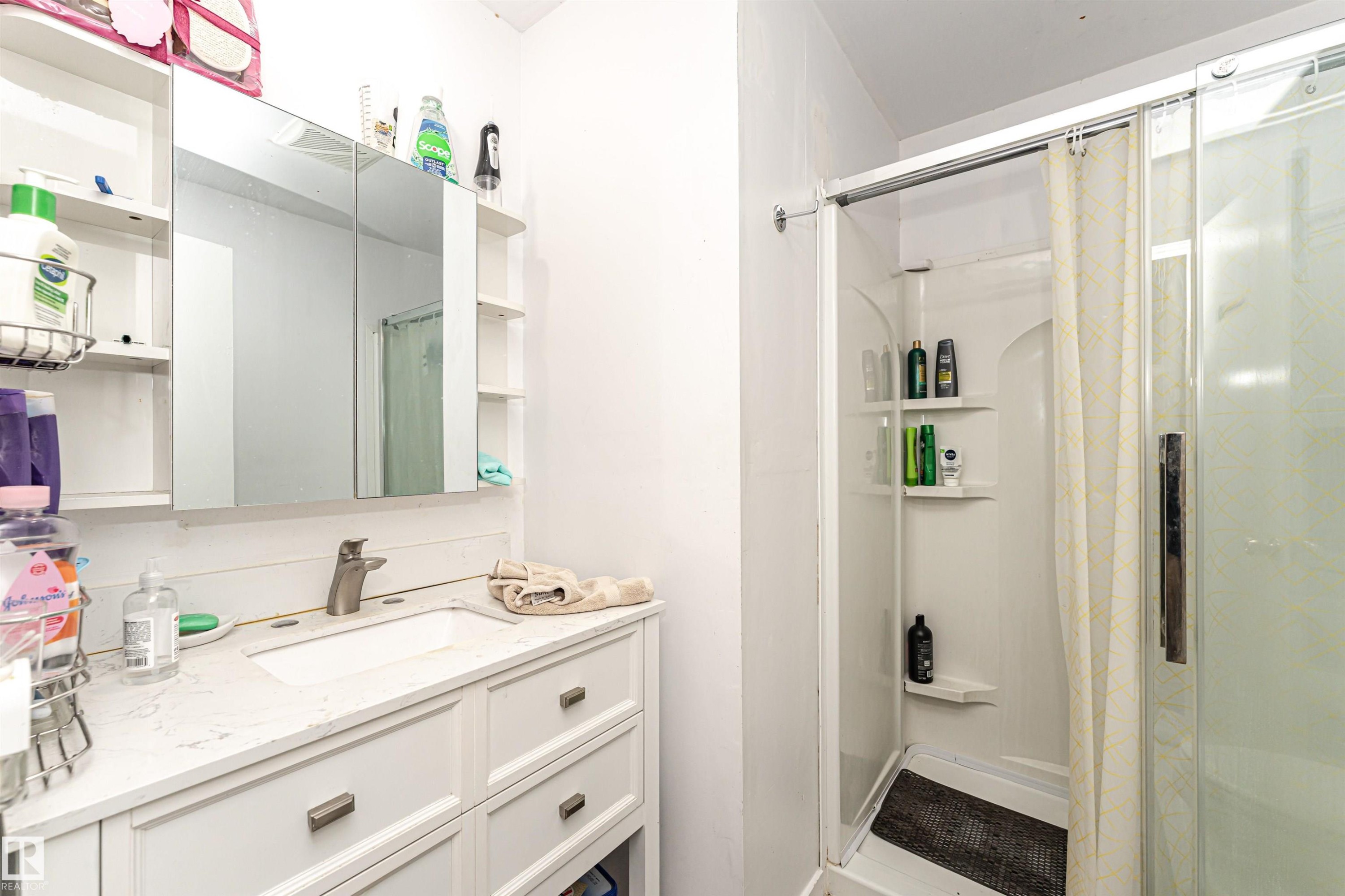 Full bath featuring a stall shower and vanity - 2349 Millbourne Road W, Edmonton, AB - Indoor Photo Showing Bathroom