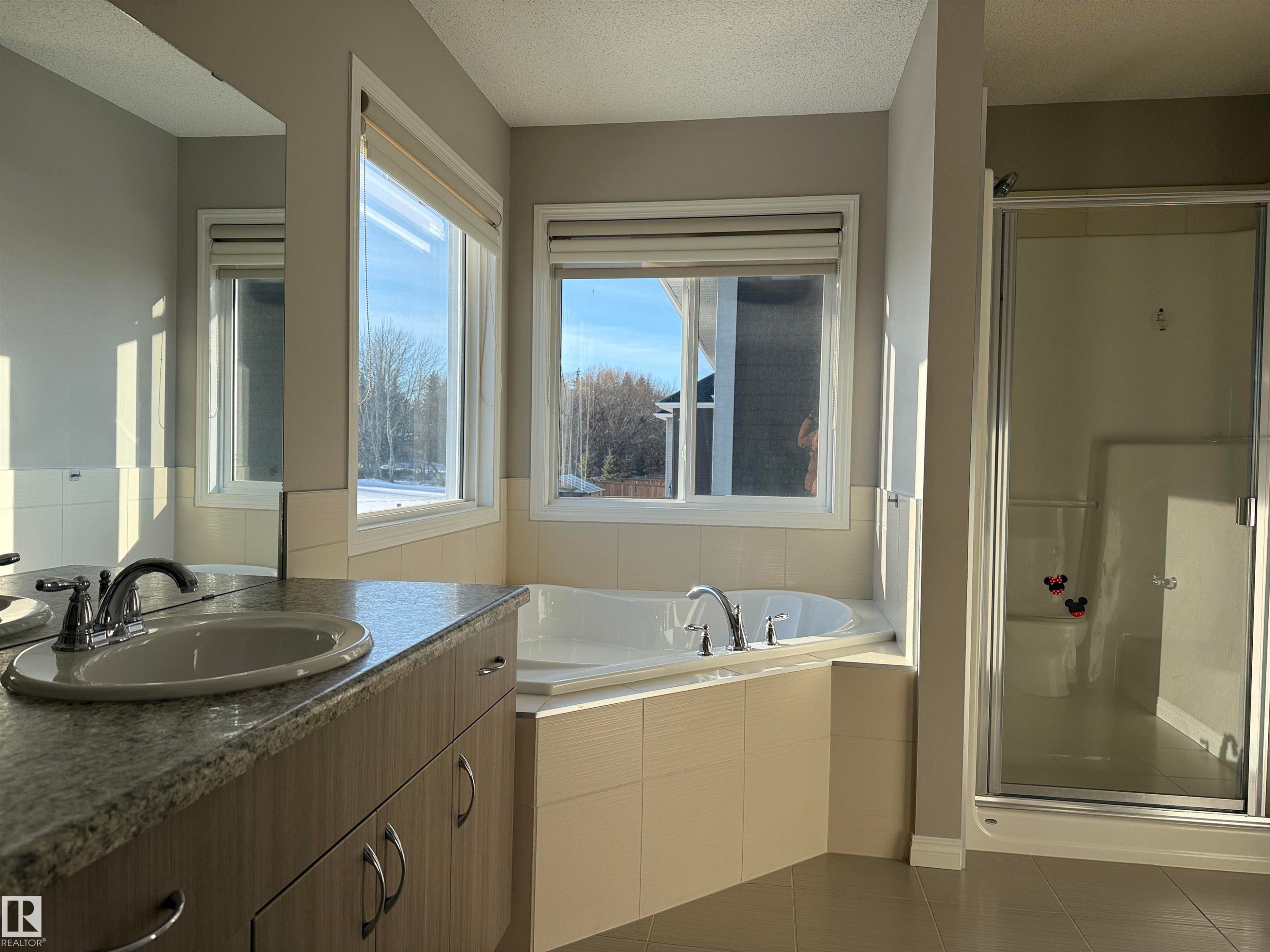 16627 18 Avenue, Edmonton, AB - Indoor Photo Showing Bathroom