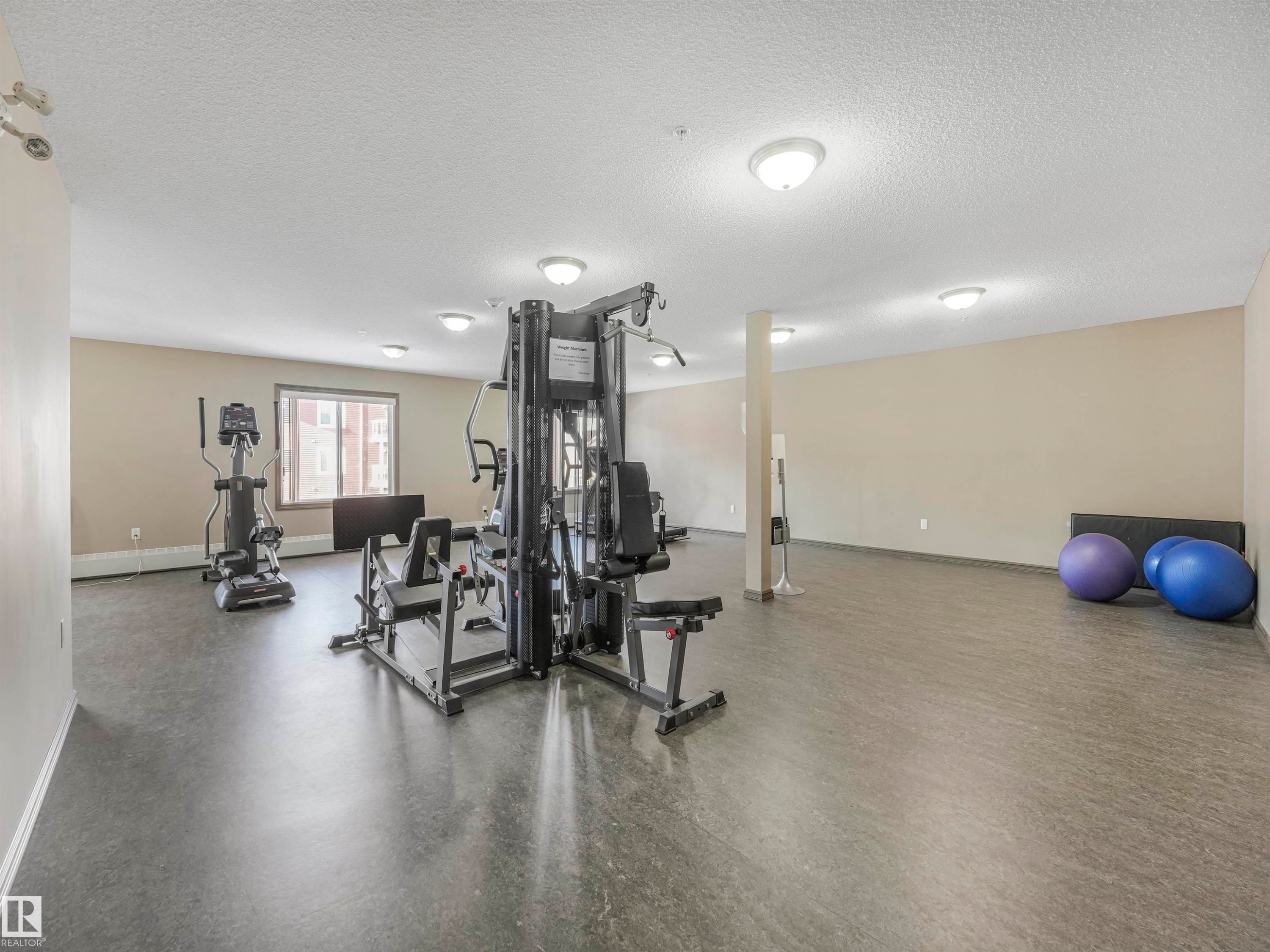 314 2203 44 Avenue, Edmonton, AB - Indoor Photo Showing Gym Room