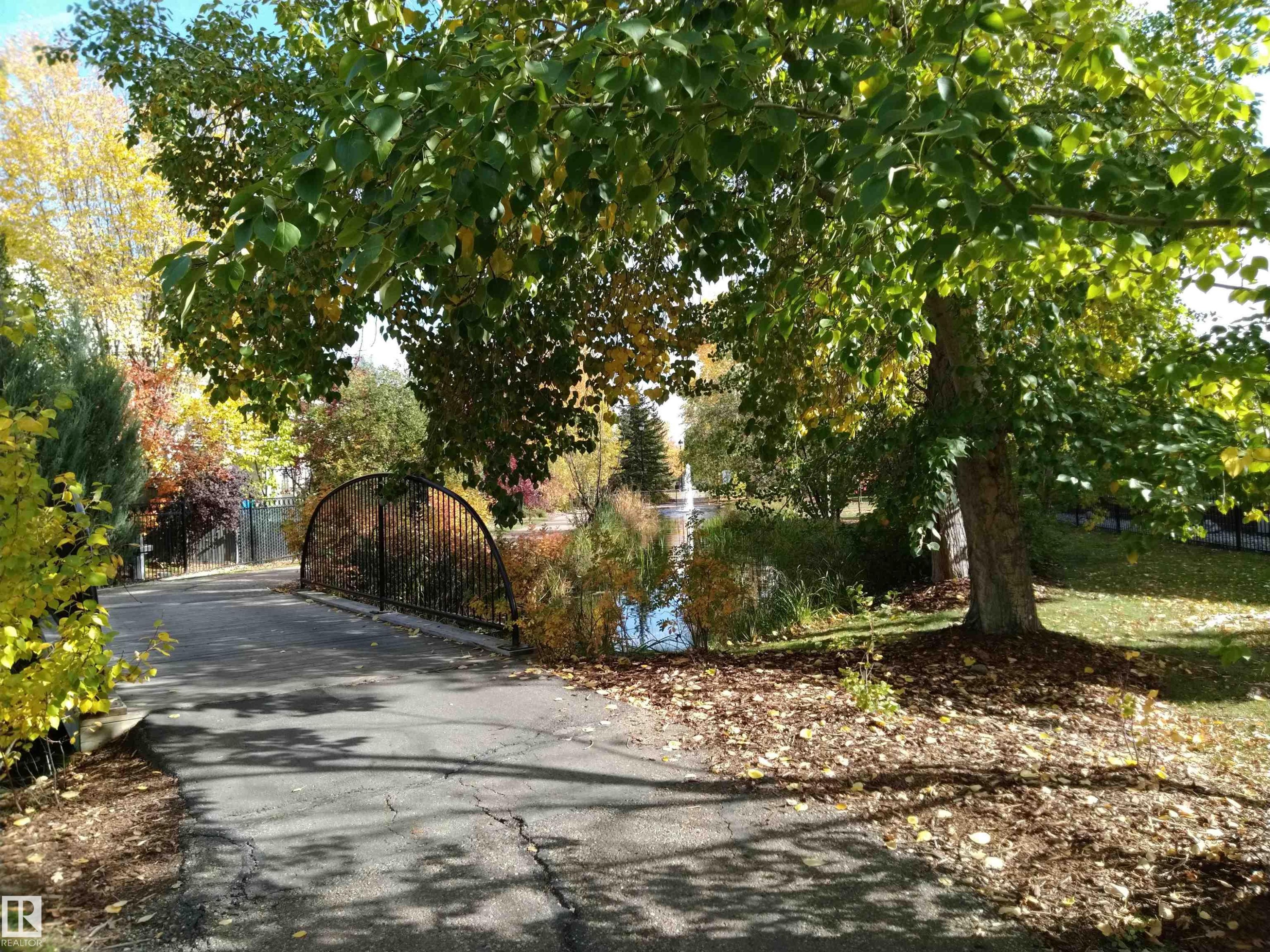 4522 Donsdale Drive Nw, Edmonton, AB - Outdoor