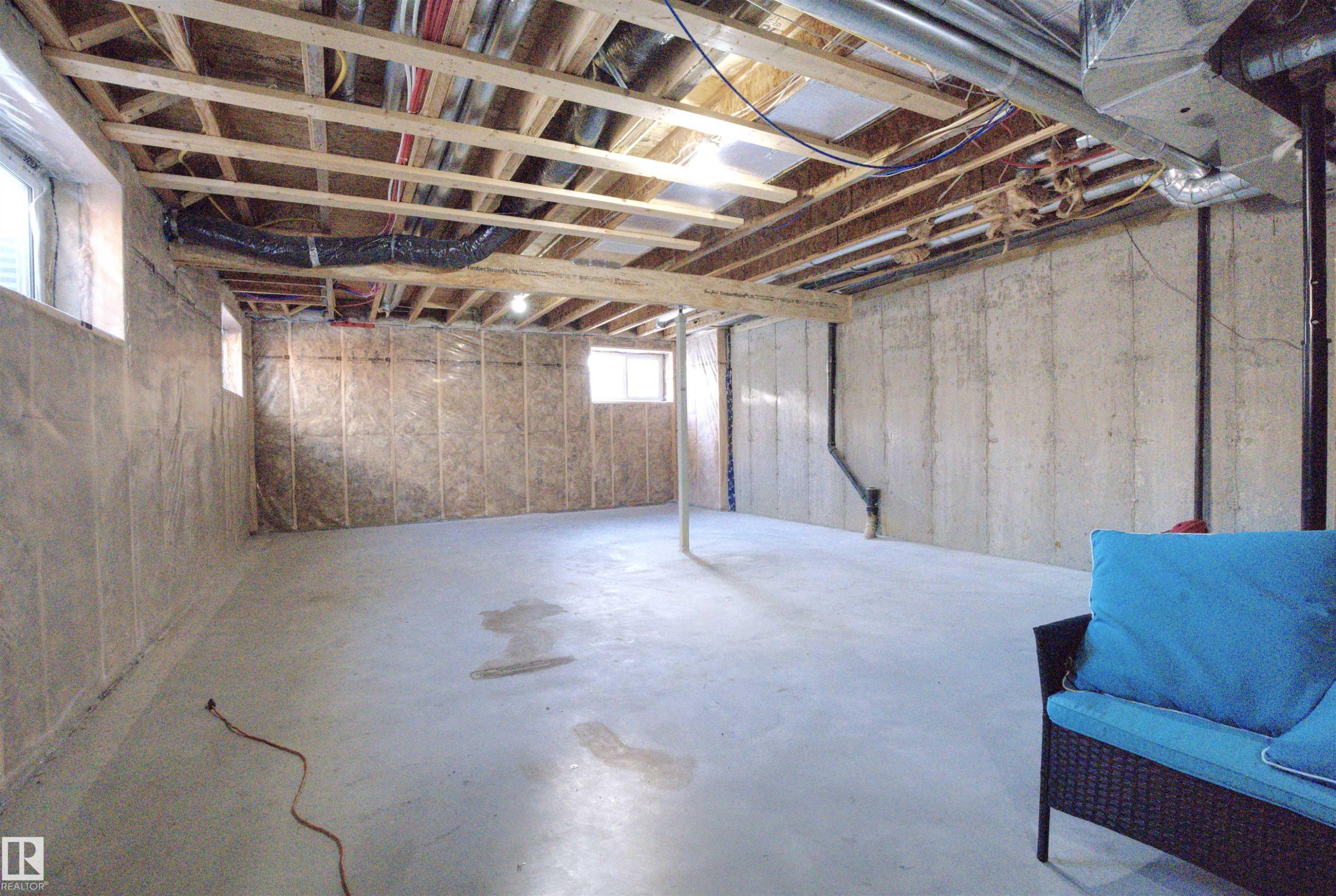 8904 217 Street, Edmonton, AB - Indoor Photo Showing Basement