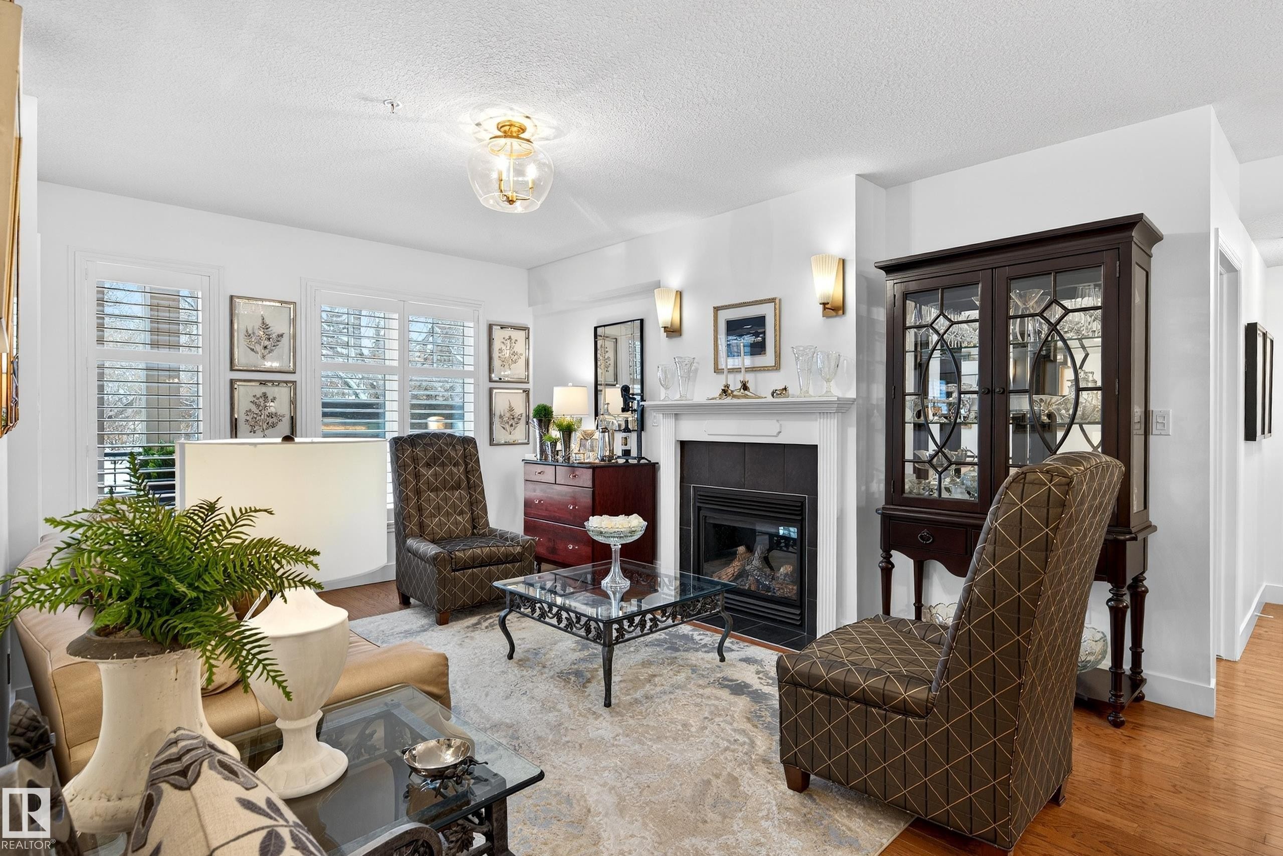 103 9811 96A Street, Edmonton, AB - Indoor Photo Showing Living Room With Fireplace