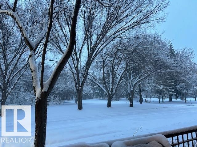 103 9811 96A Street, Edmonton, AB - Outdoor With View