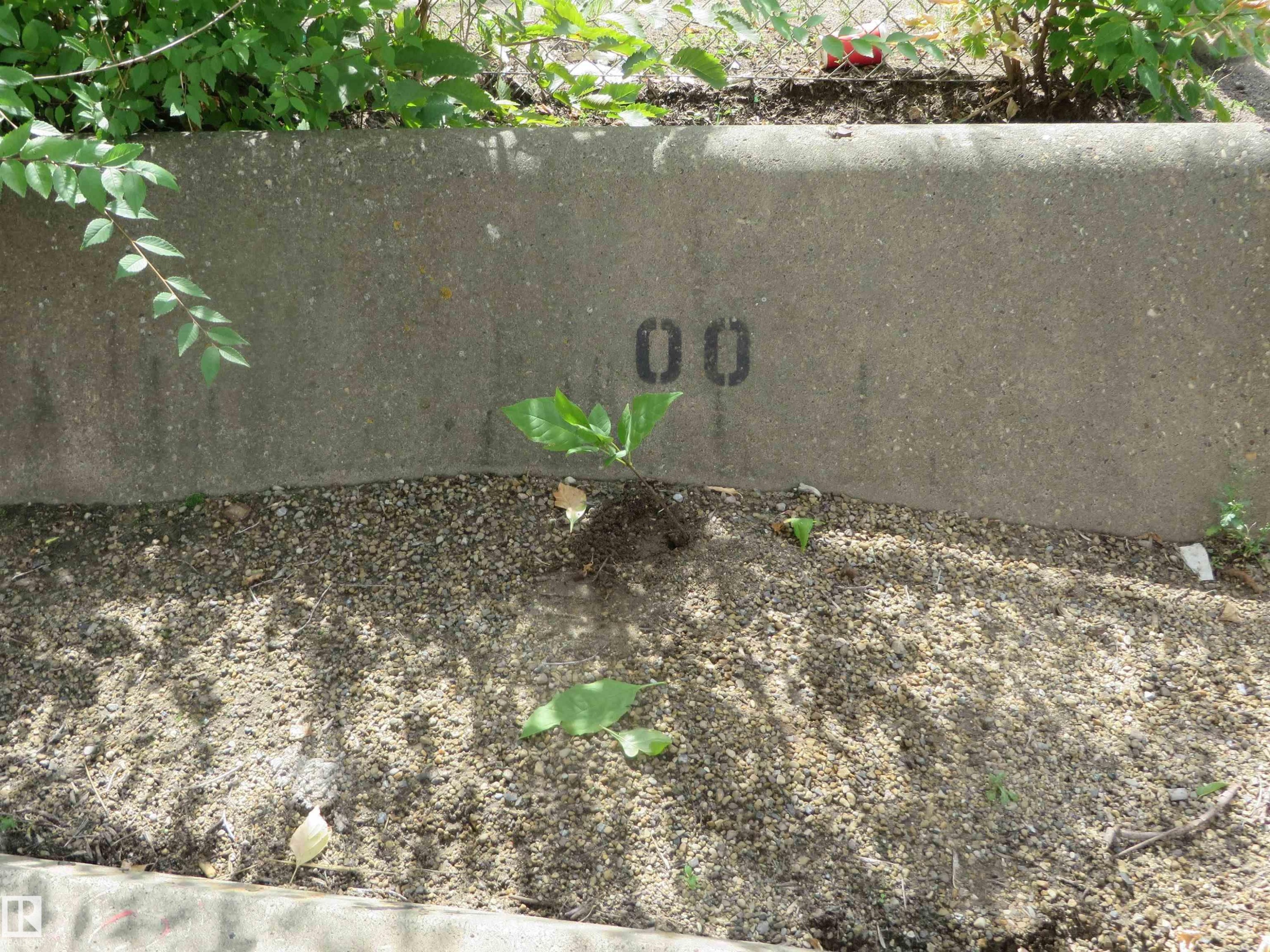 102 10547 83 Avenue, Edmonton, AB - Outdoor