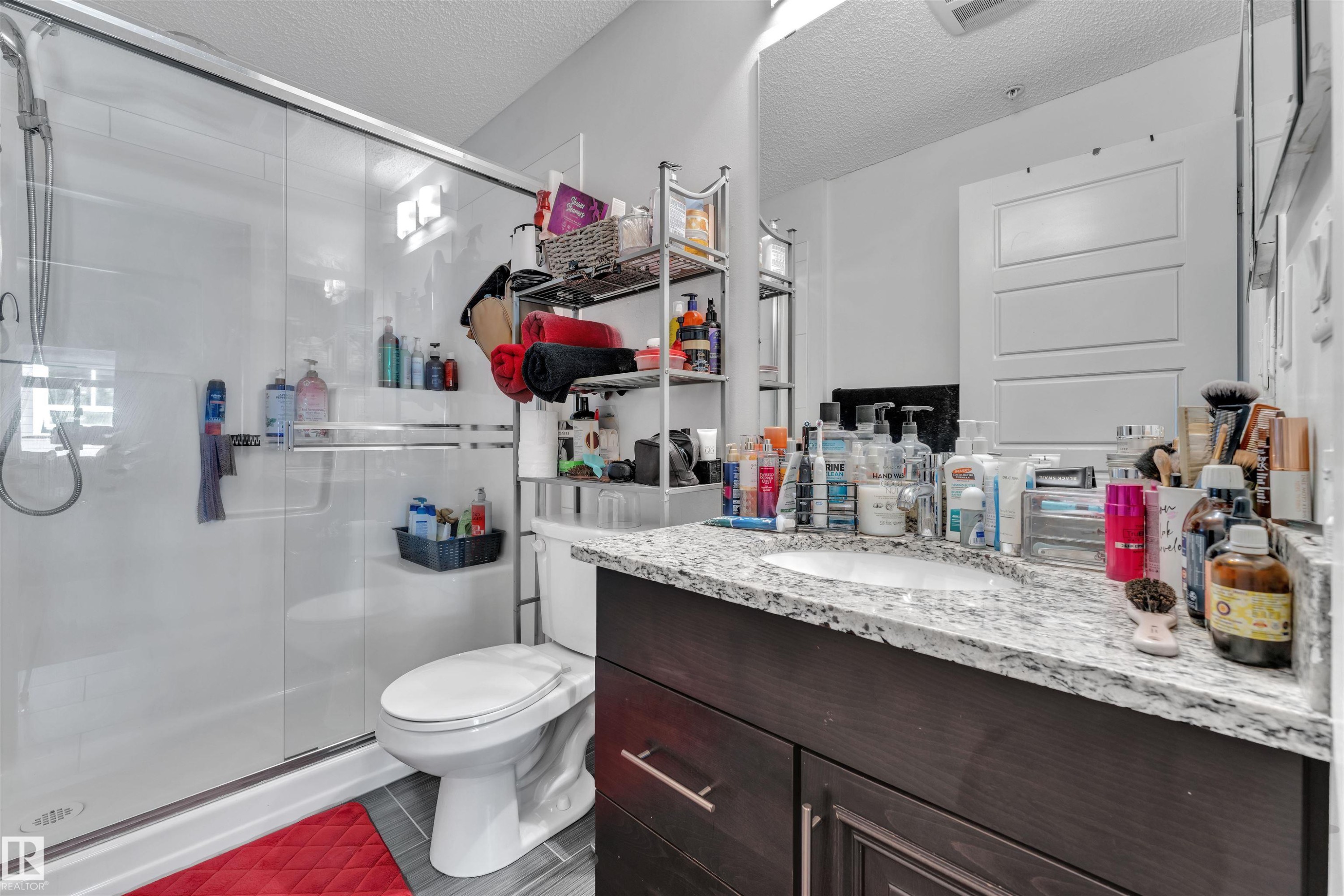 228 6076 Schonsee Way, Edmonton, AB - Indoor Photo Showing Bathroom