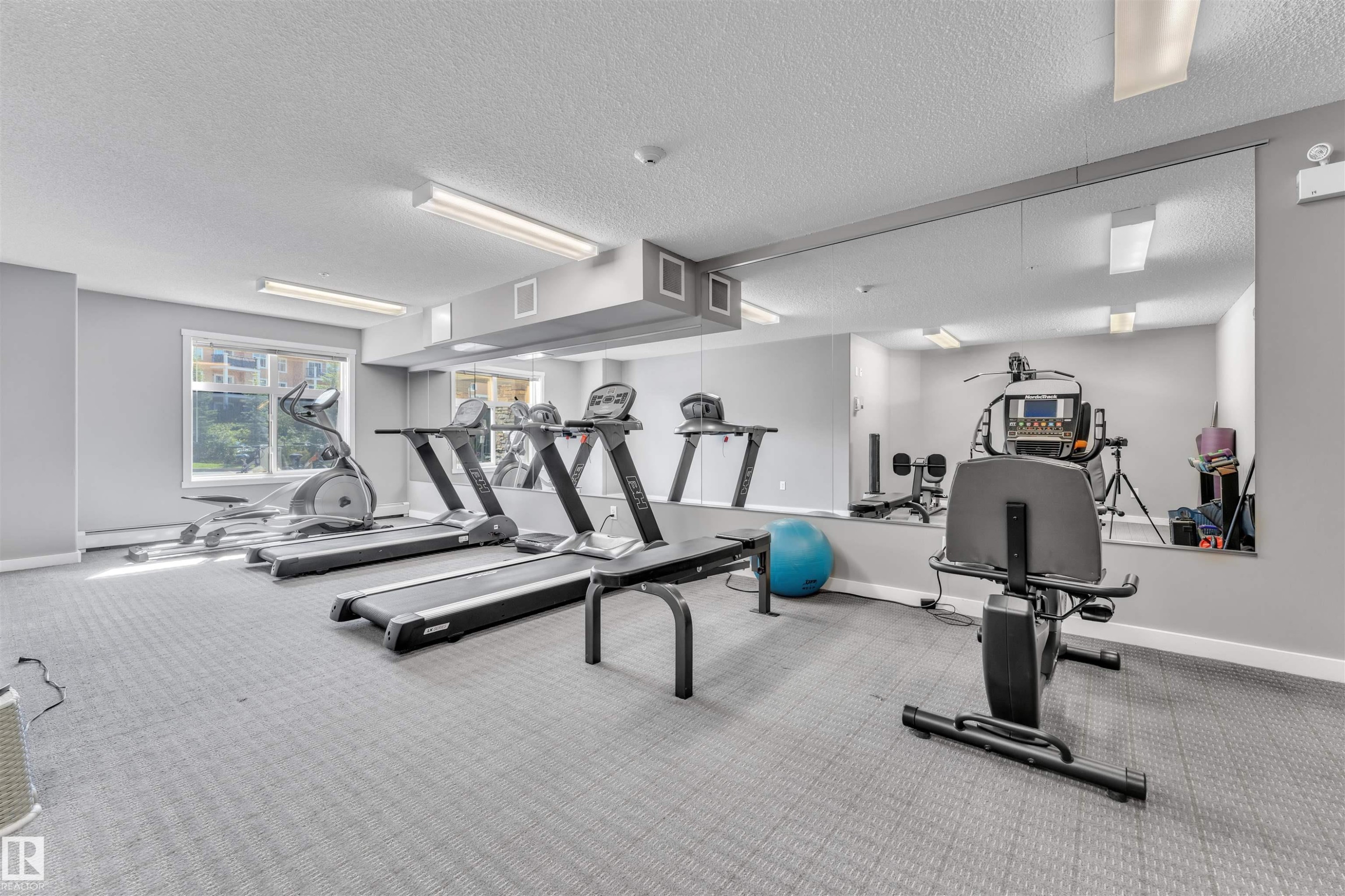 228 6076 Schonsee Way, Edmonton, AB - Indoor Photo Showing Gym Room