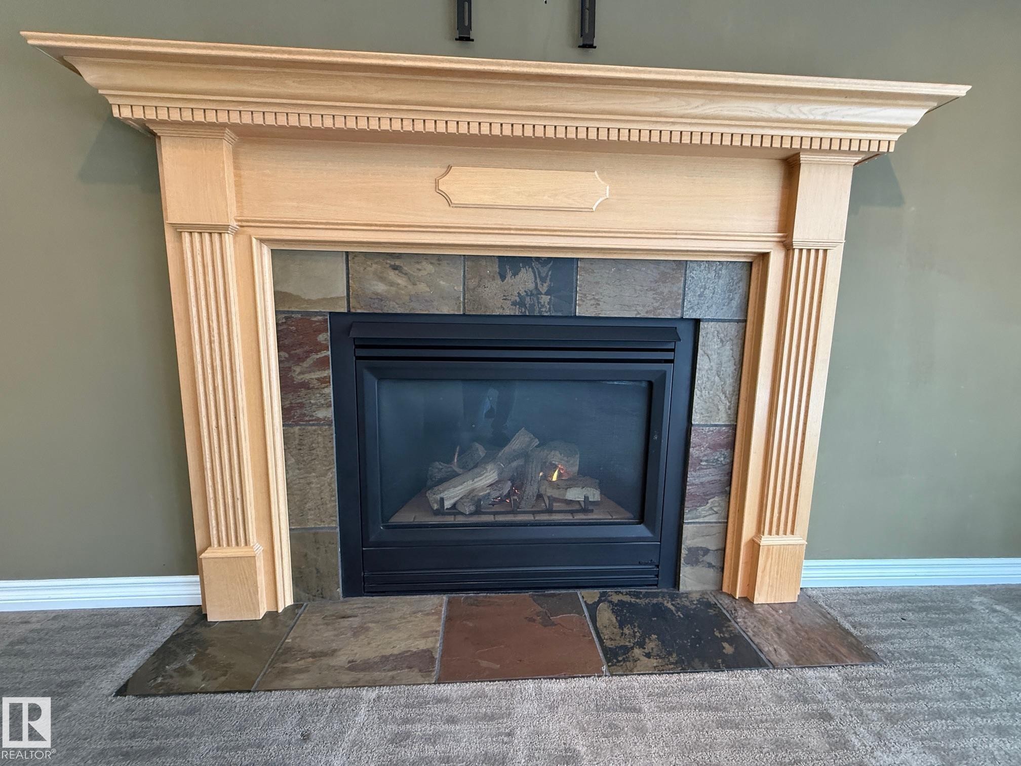 223 Ormsby Road East, Edmonton, AB - Indoor Photo Showing Living Room With Fireplace