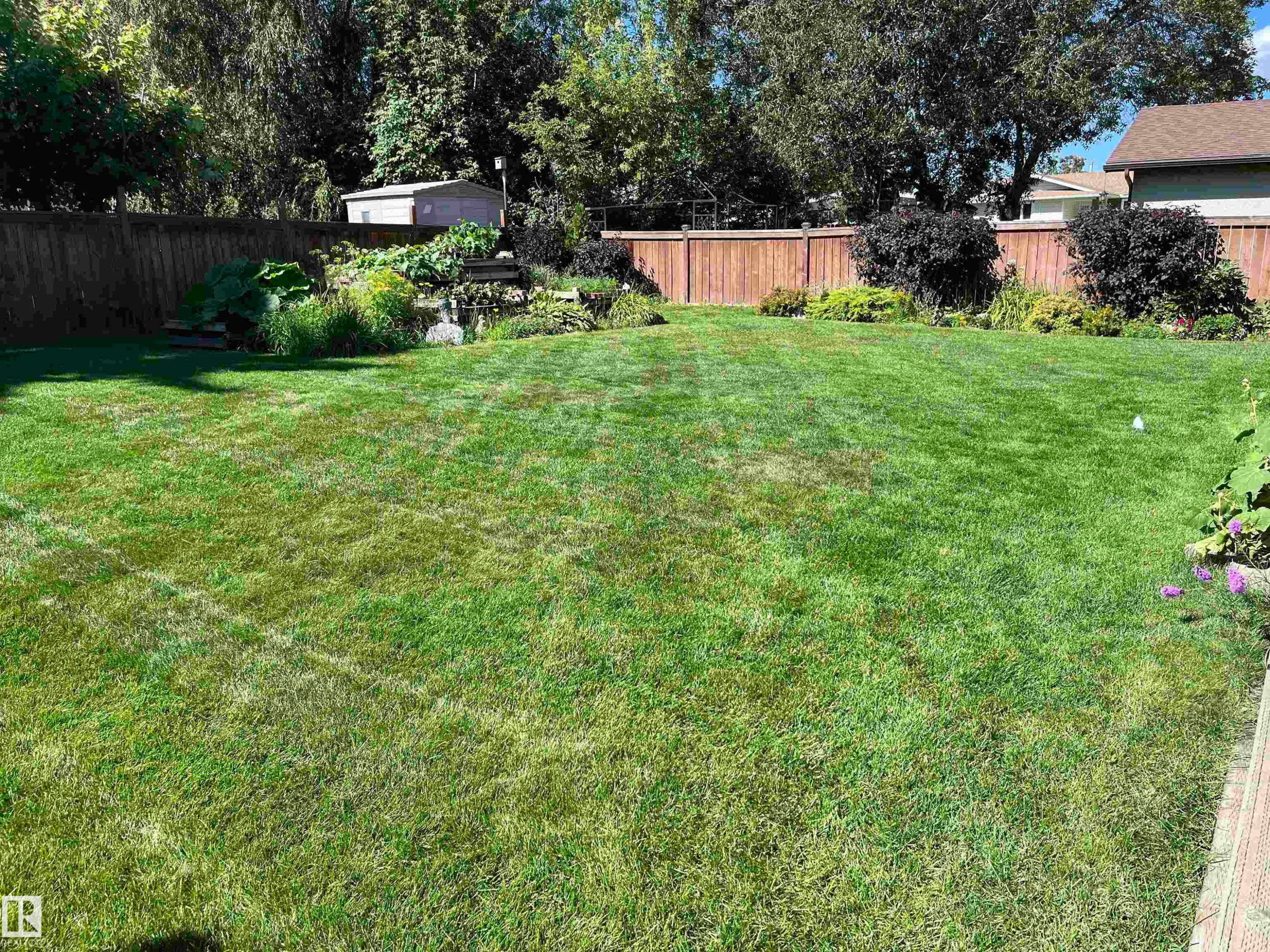 View of fenced backyard - 2112 67 Street Nw, Edmonton, AB - Outdoor