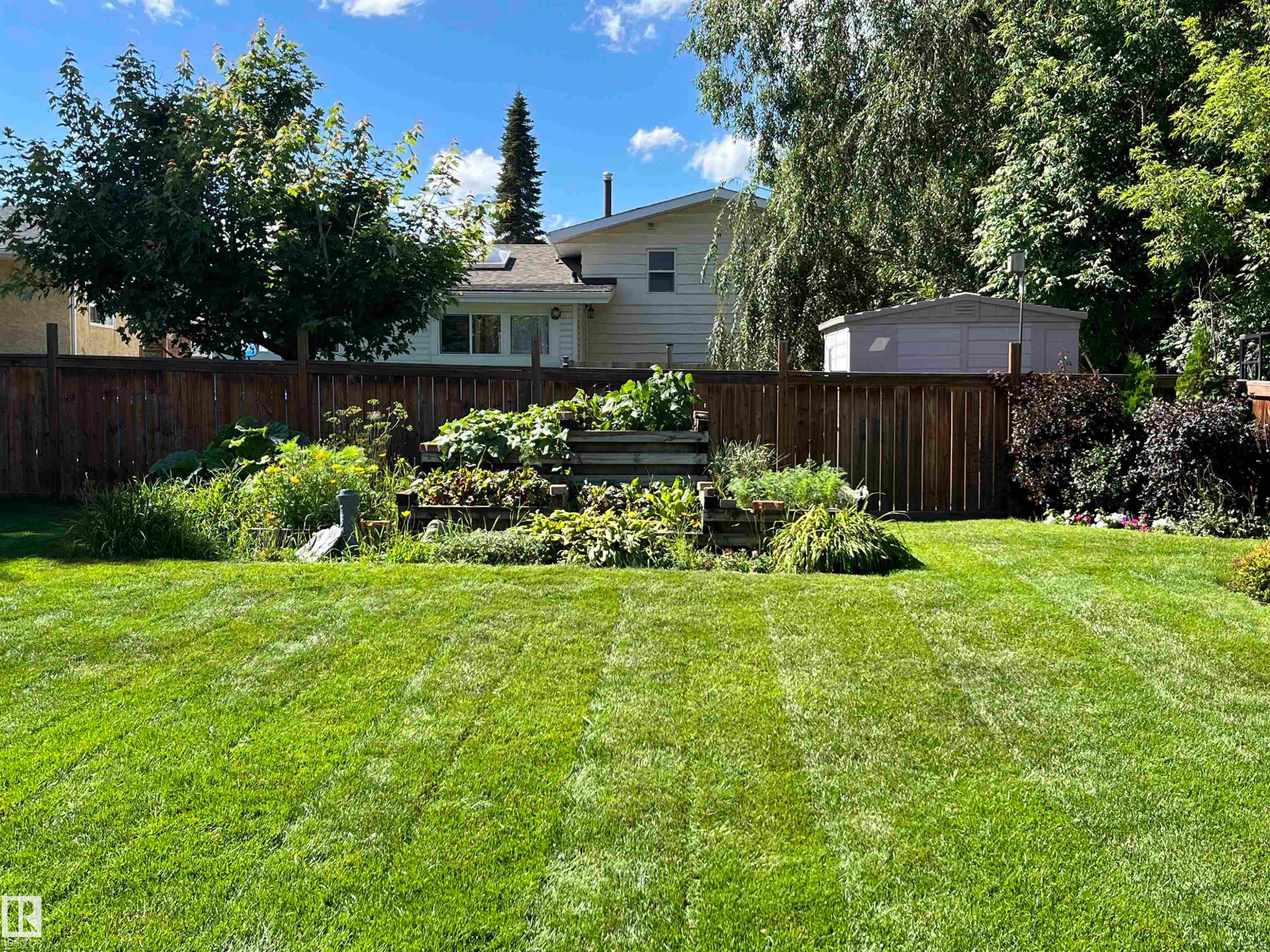 Fenced backyard featuring a vegetable garden - 2112 67 Street Nw, Edmonton, AB - Outdoor