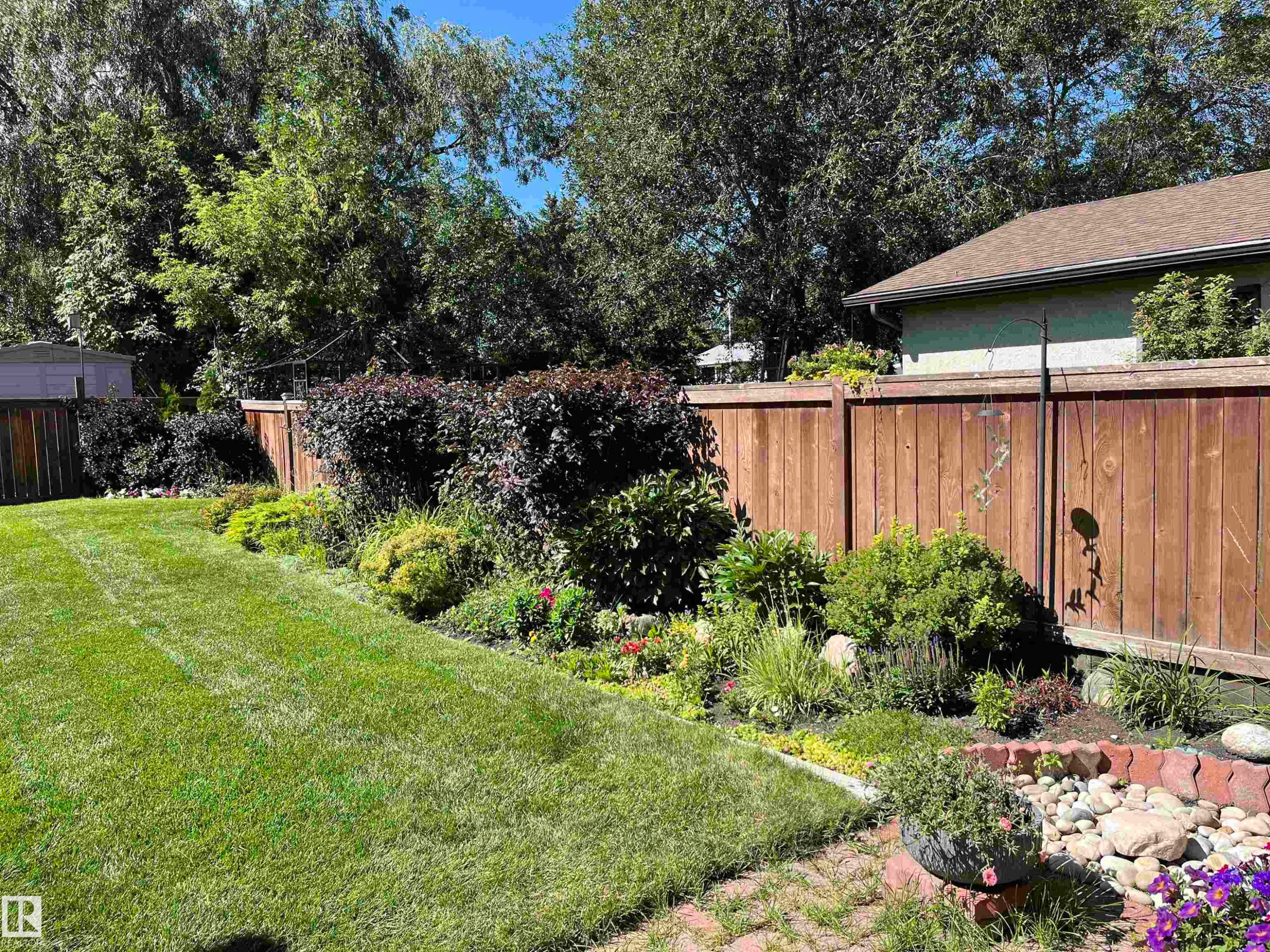 View of fenced backyard - 2112 67 Street Nw, Edmonton, AB - Outdoor