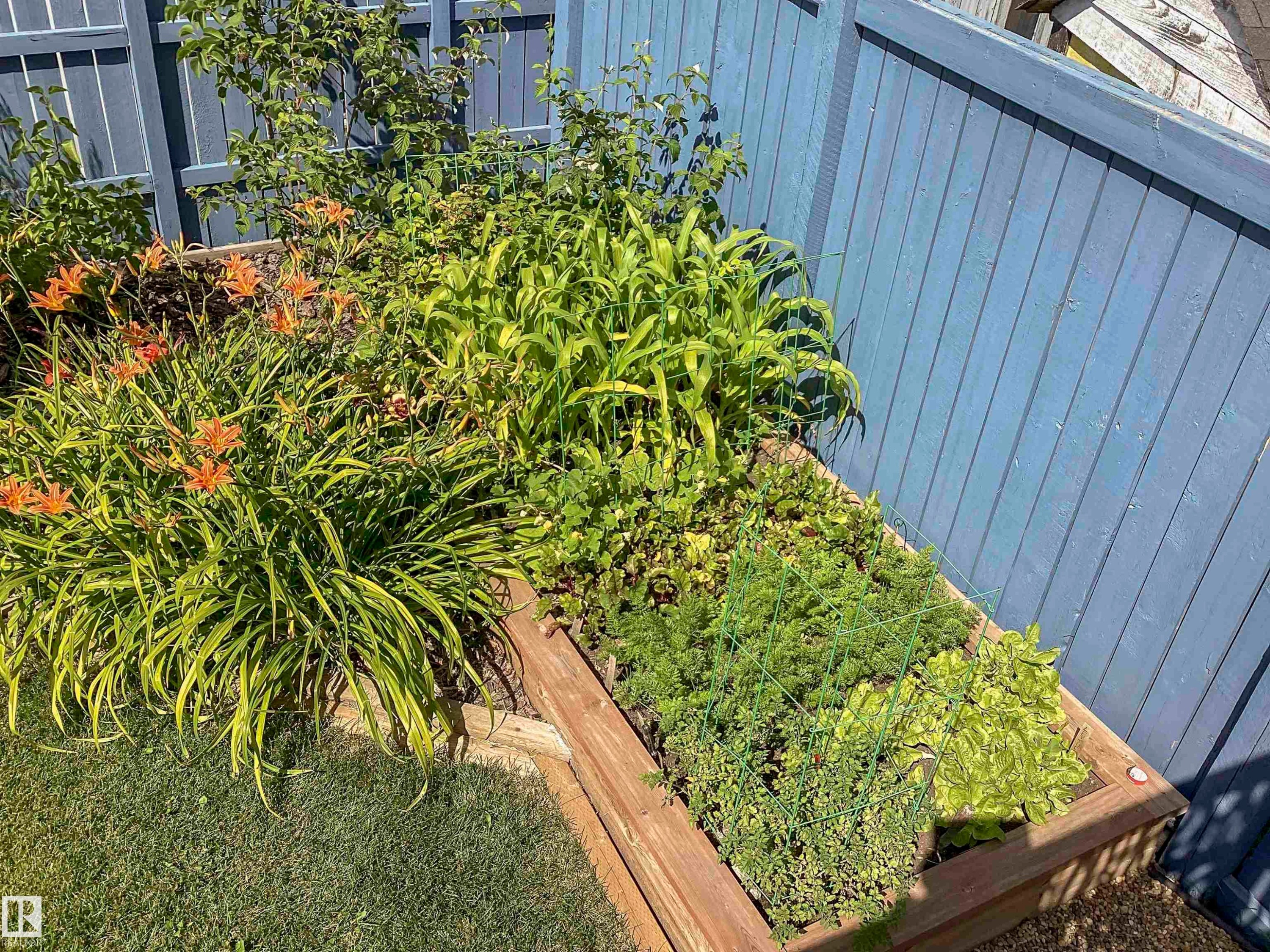 4042 37A Avenue, Edmonton, AB - Outdoor