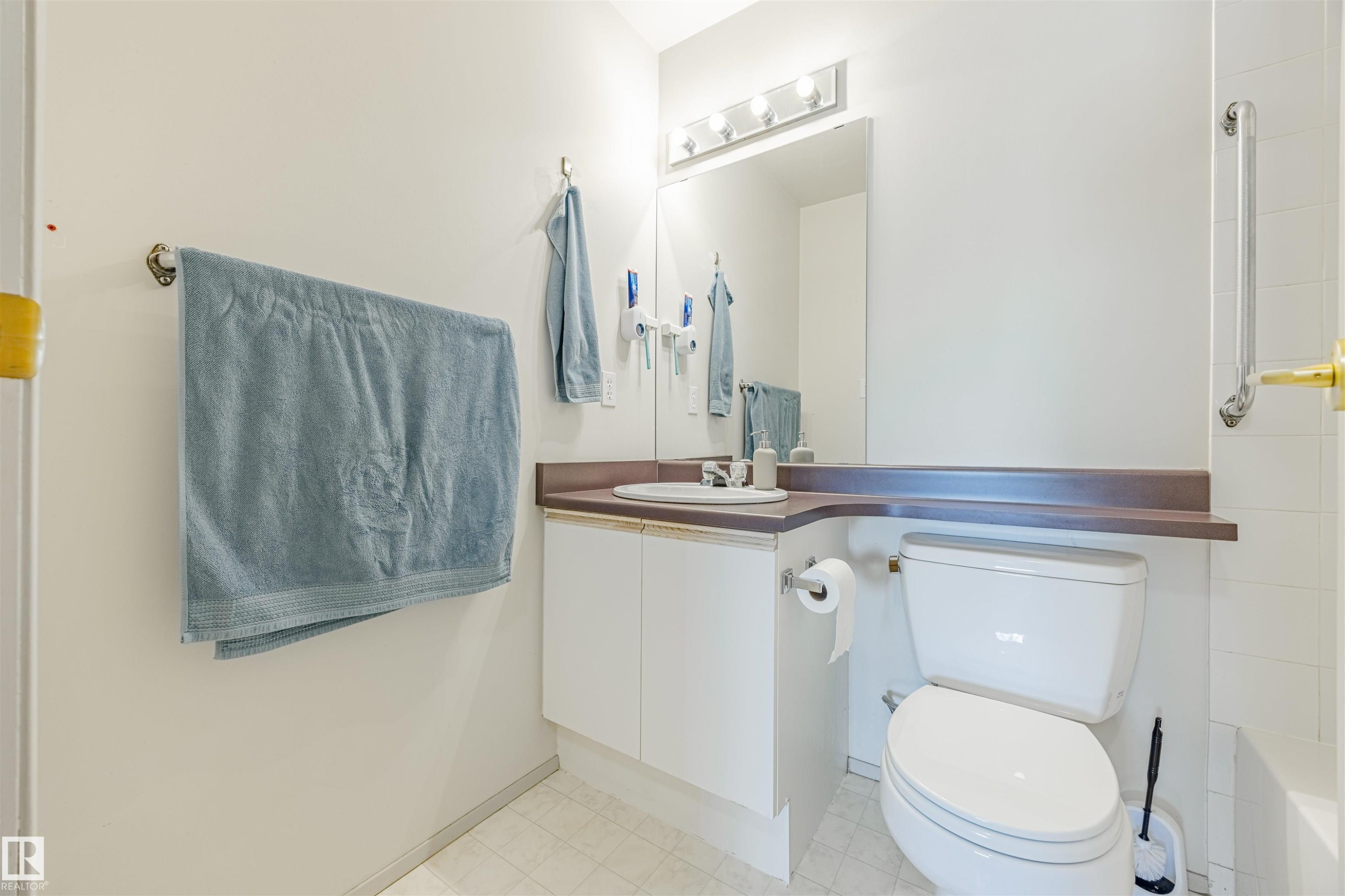 401 11218 80 Street, Edmonton, AB - Indoor Photo Showing Bathroom