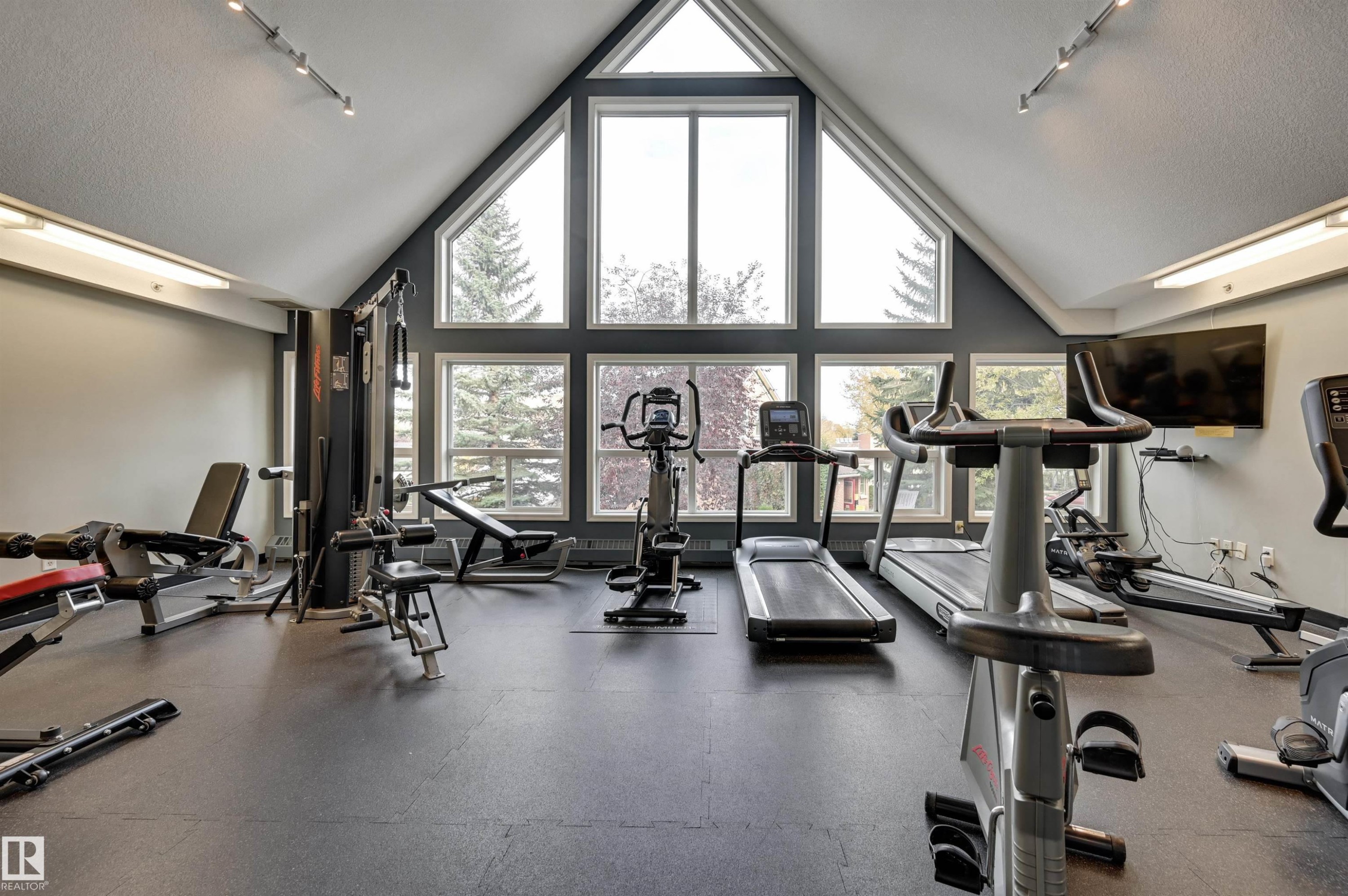 336 9008 99 Avenue, Edmonton, AB - Indoor Photo Showing Gym Room