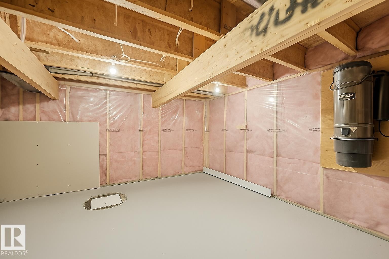 3411 Macneil Link, Edmonton, AB - Indoor Photo Showing Basement