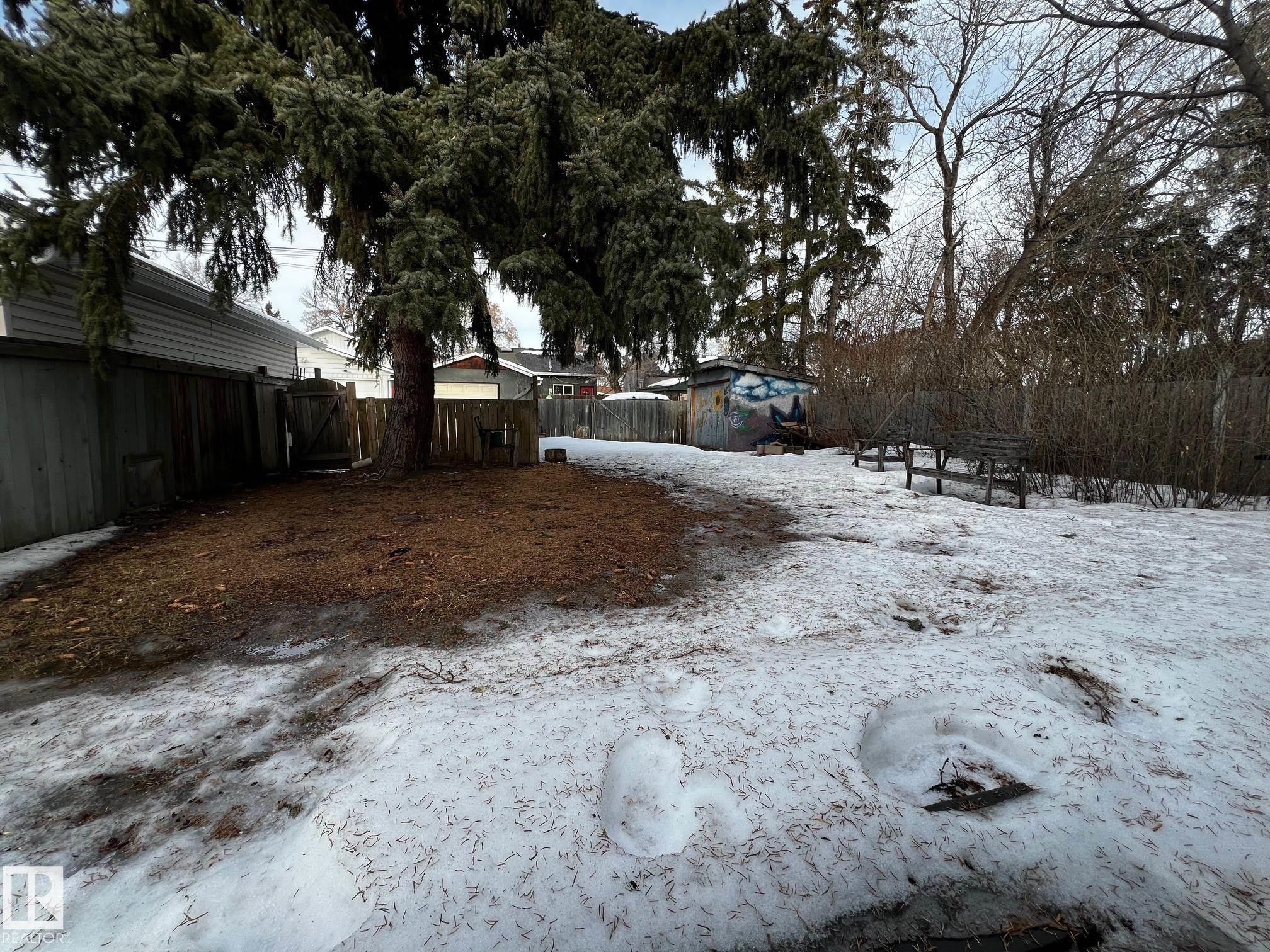 View of yard - 10830 68 Avenue, Edmonton, AB - Outdoor