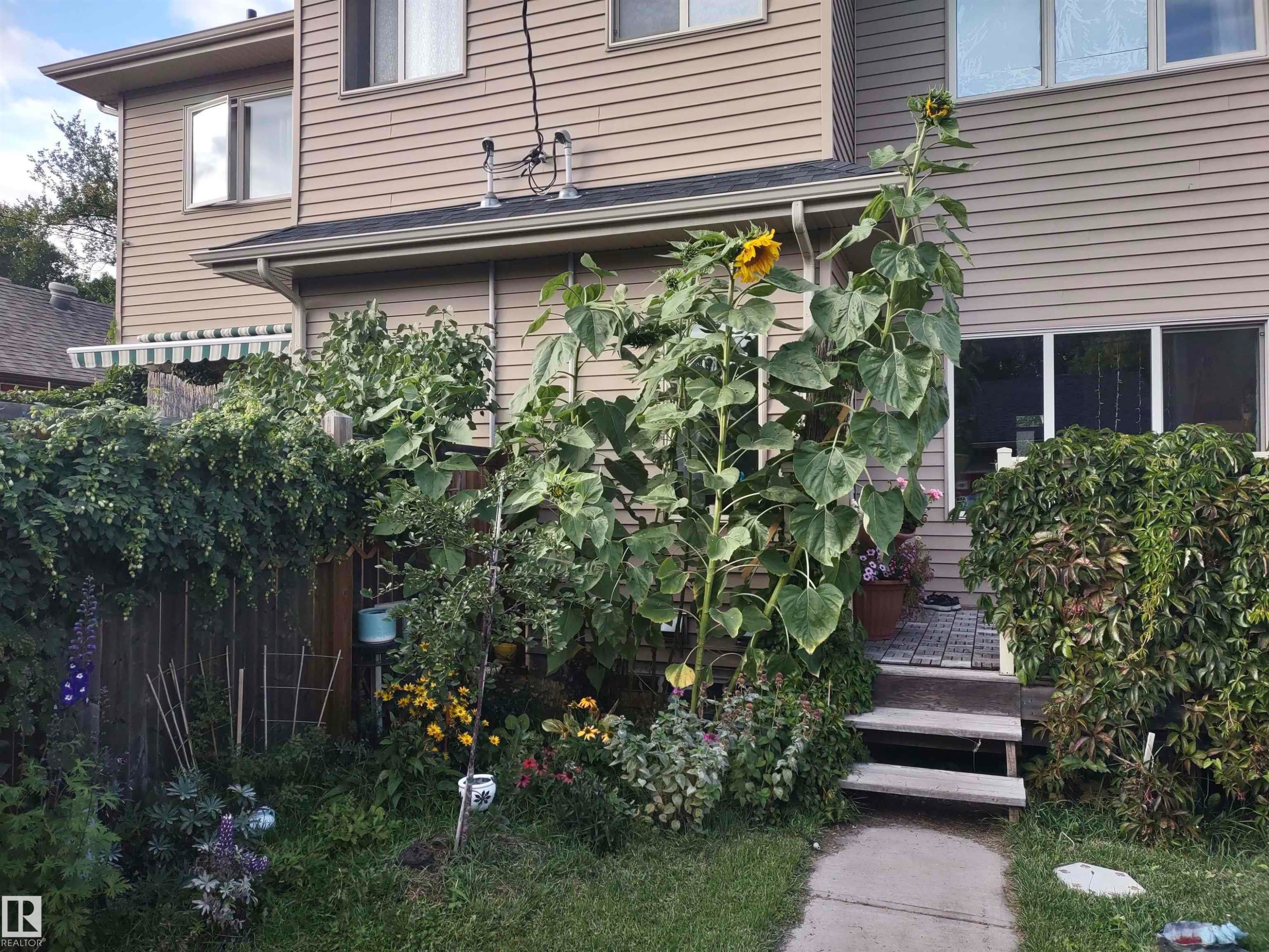 Property entrance with a wooden deck - 10535 67 Avenue, Edmonton, AB - Outdoor