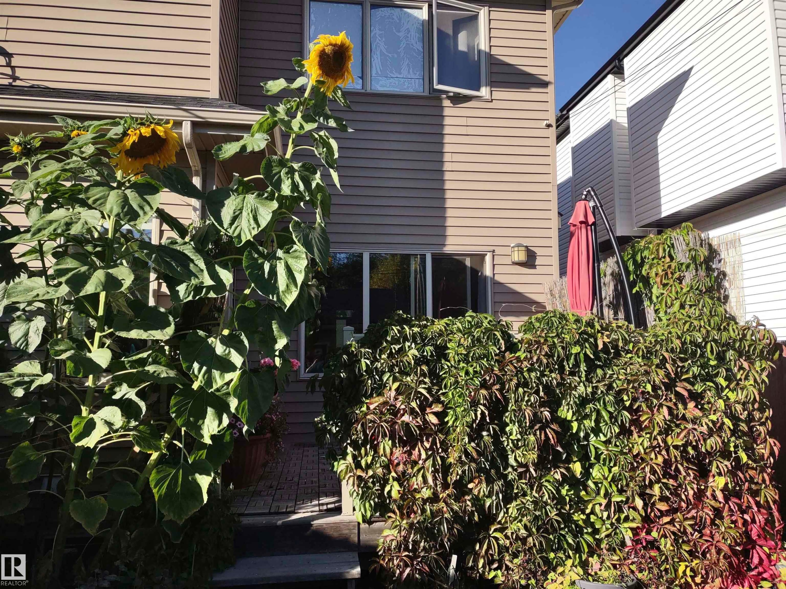 View of exterior entry - 10535 67 Avenue, Edmonton, AB - Outdoor