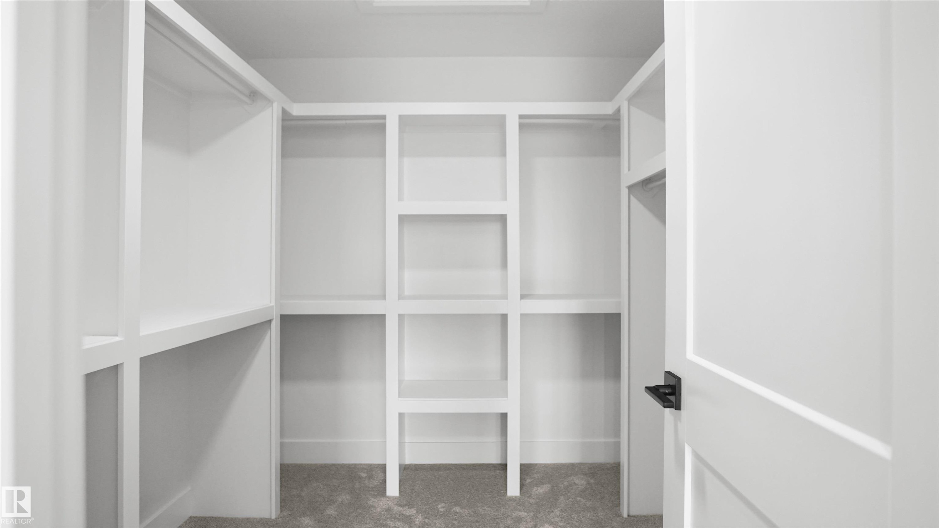 Walk in closet with carpet - 807 30 Avenue, Edmonton, AB - Indoor With Storage