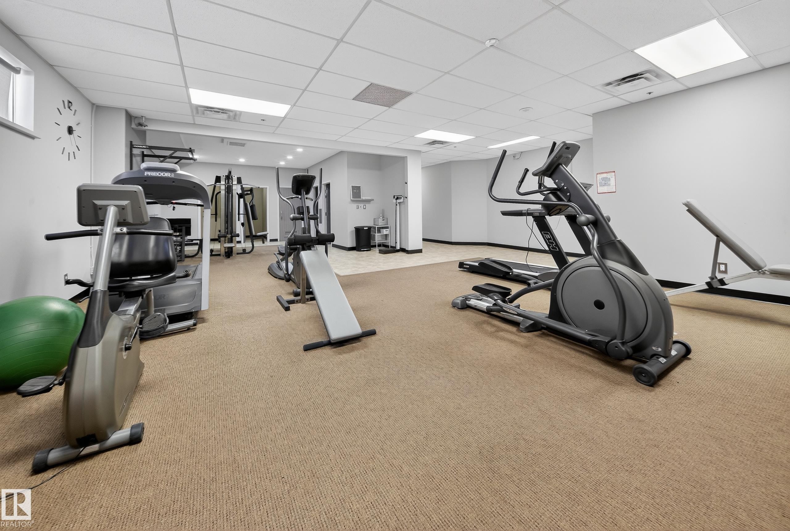 205 10130 114 Street, Edmonton, AB - Indoor Photo Showing Gym Room