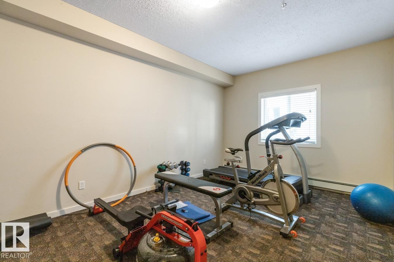 202 10524 77 Avenue, Edmonton, AB - Indoor Photo Showing Gym Room
