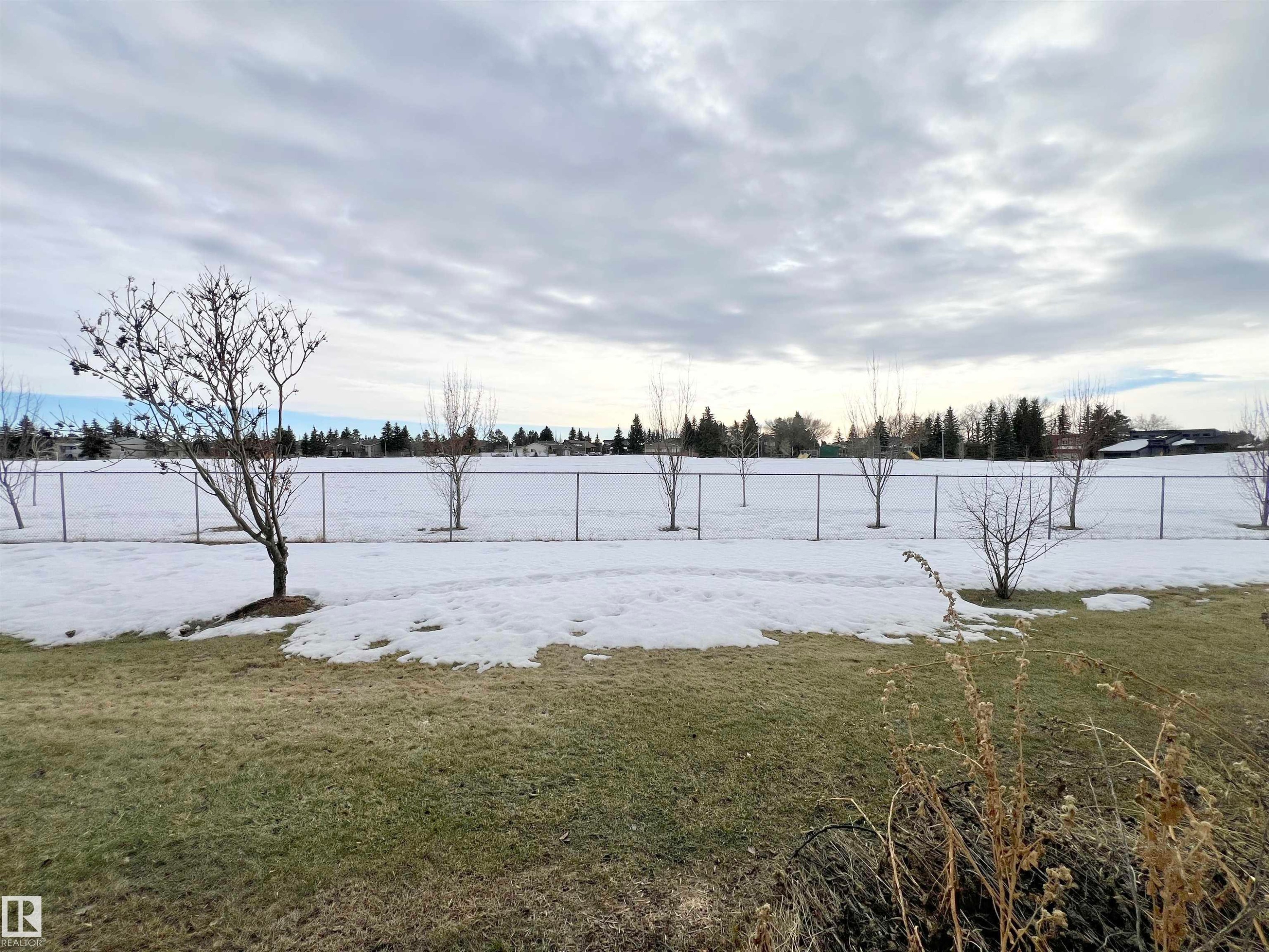 View of snowy yard - 11357 22 Avenue, Edmonton, AB - Outdoor With View