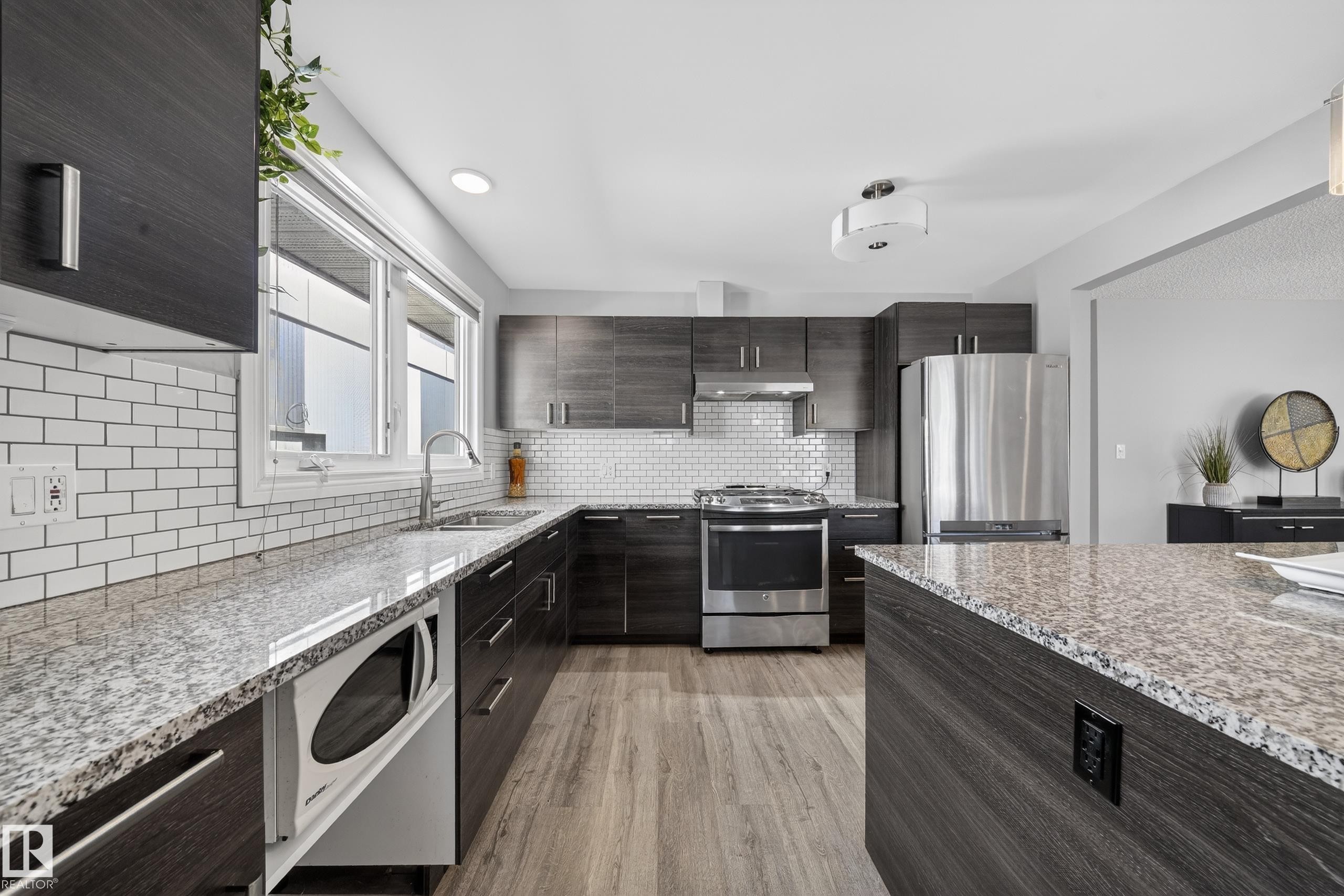 9521 109 Avenue, Edmonton, AB - Indoor Photo Showing Kitchen With Upgraded Kitchen