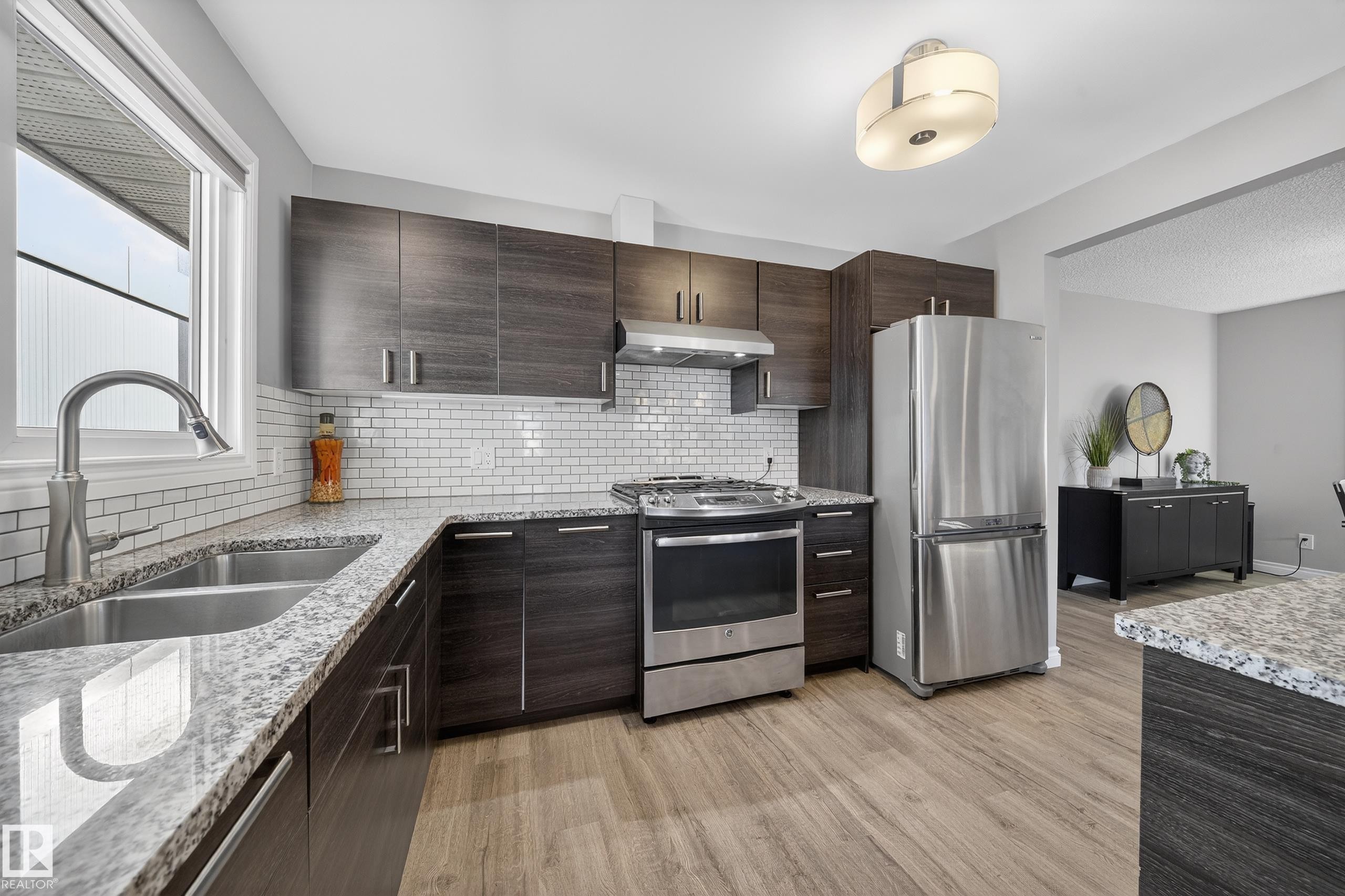 9521 109 Avenue, Edmonton, AB - Indoor Photo Showing Kitchen With Double Sink With Upgraded Kitchen