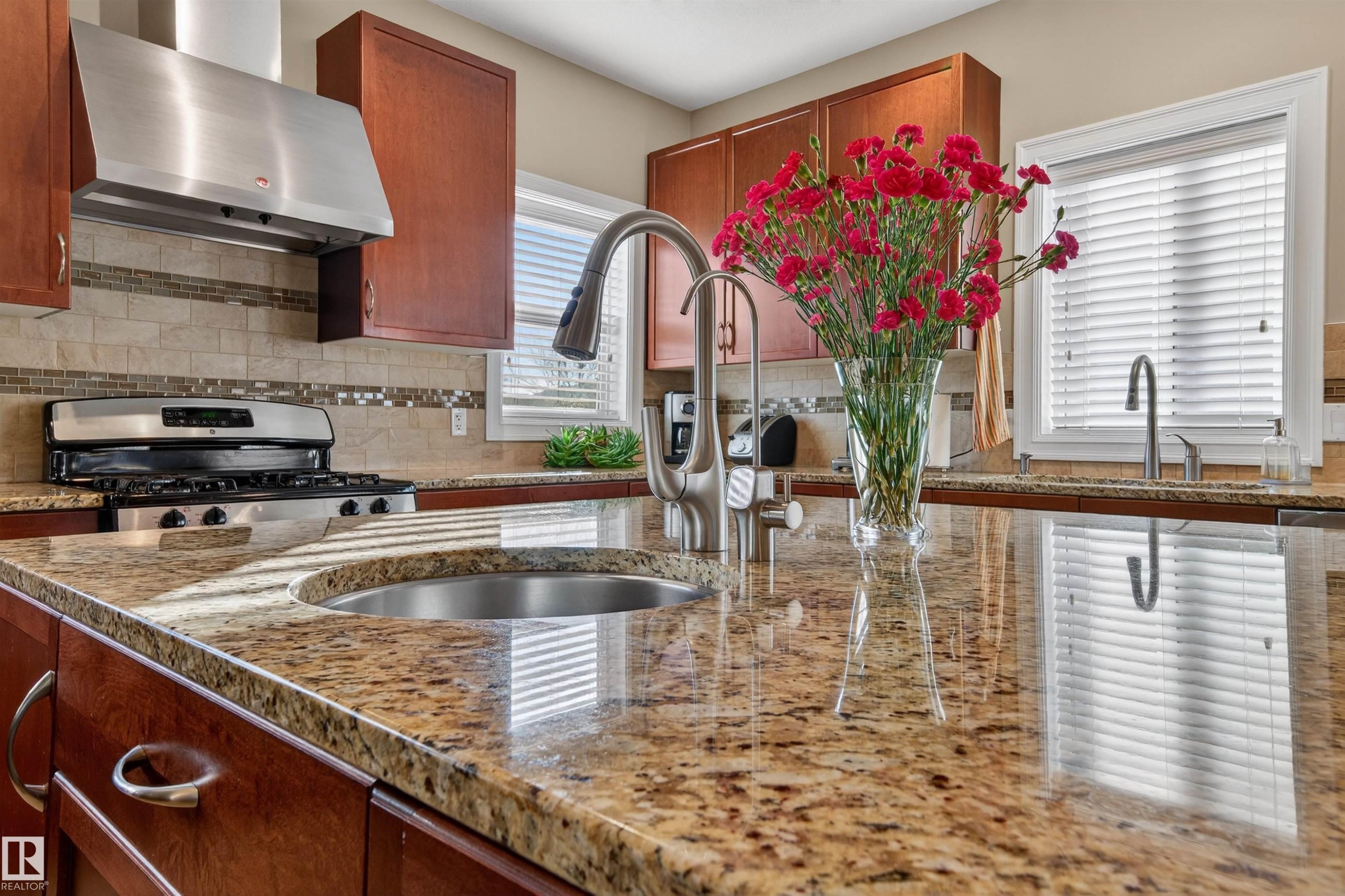1804 Hammond Crescent, Edmonton, AB - Indoor Photo Showing Kitchen With Double Sink With Upgraded Kitchen