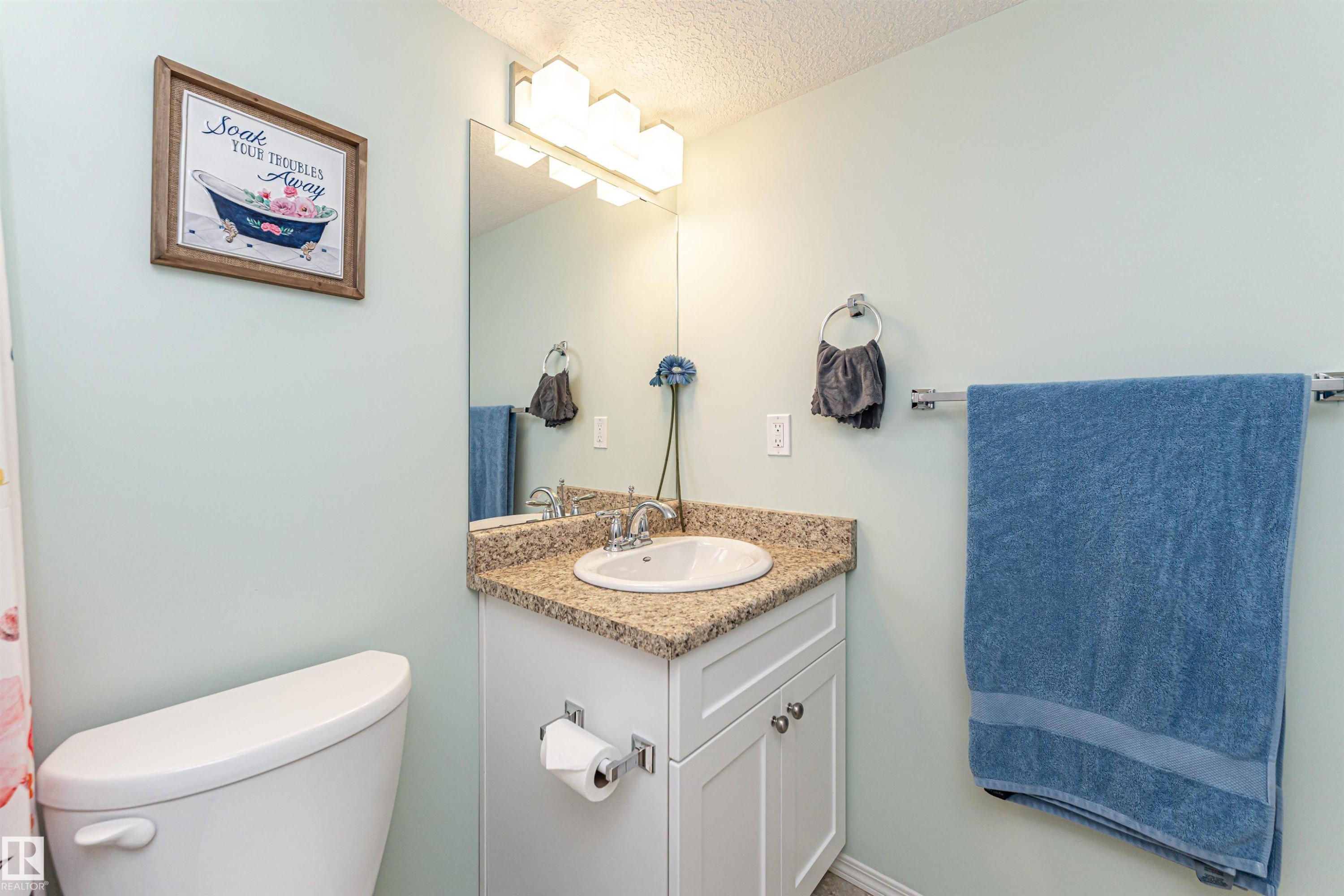 7003 174 Avenue Nw, Edmonton, AB - Indoor Photo Showing Bathroom