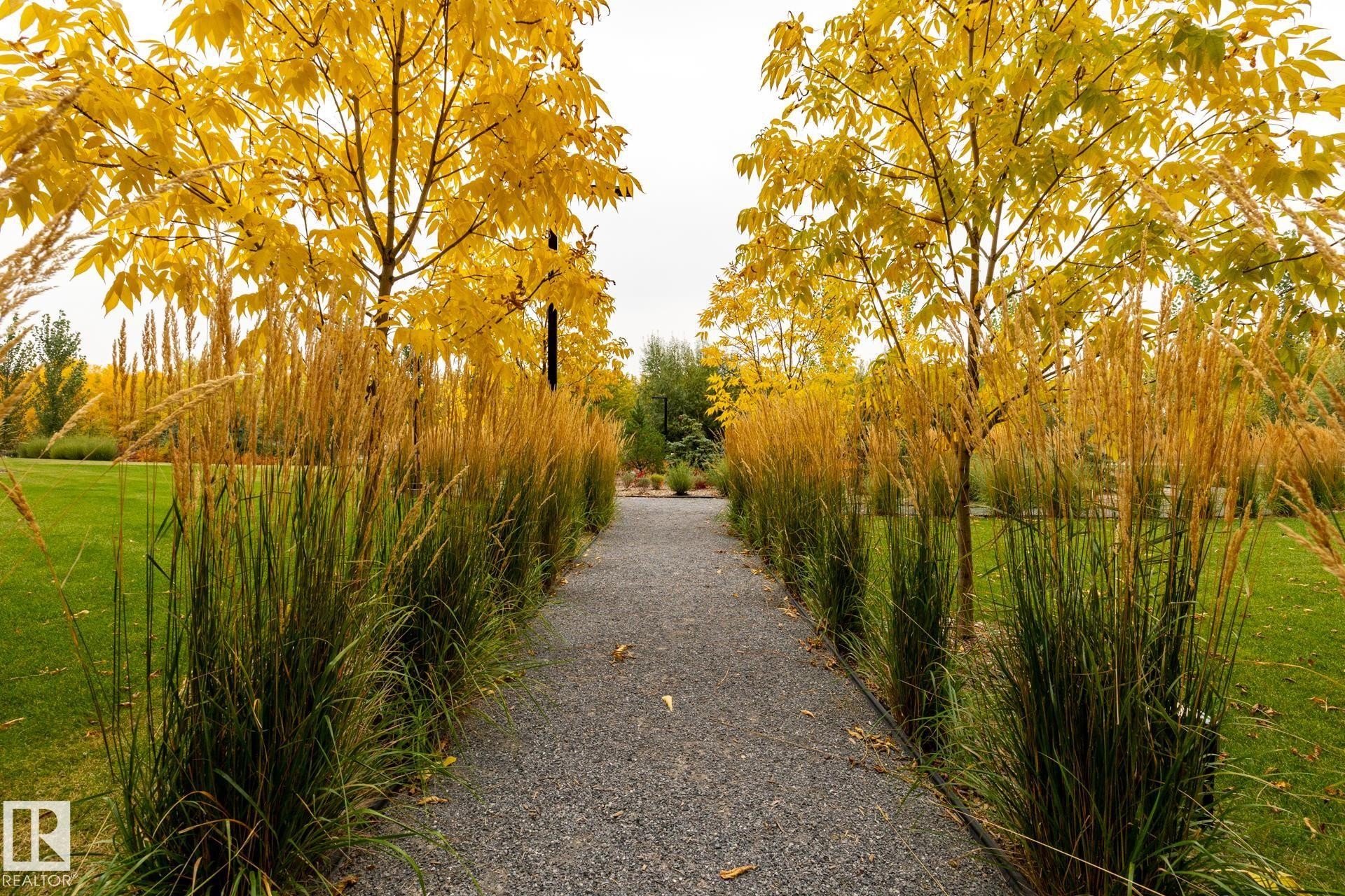 View of community featuring a lawn - 112 7471 May Common, Edmonton, AB - Outdoor
