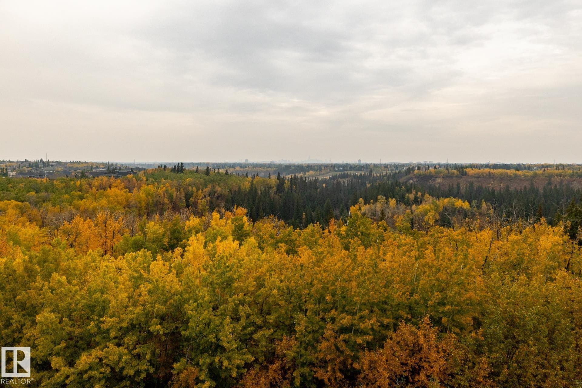 View of wooded area - 112 7471 May Common, Edmonton, AB - Outdoor With View