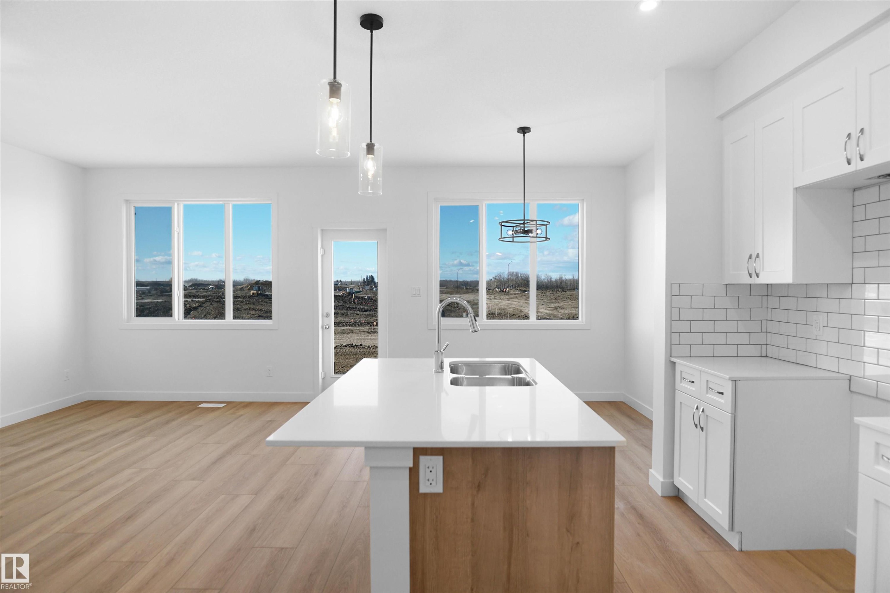 2128 210 Street, Edmonton, AB - Indoor Photo Showing Kitchen With Double Sink