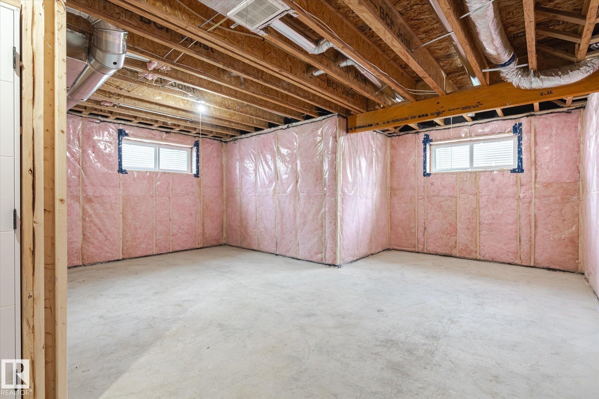 22607 89 Avenue, Edmonton, AB - Indoor Photo Showing Basement