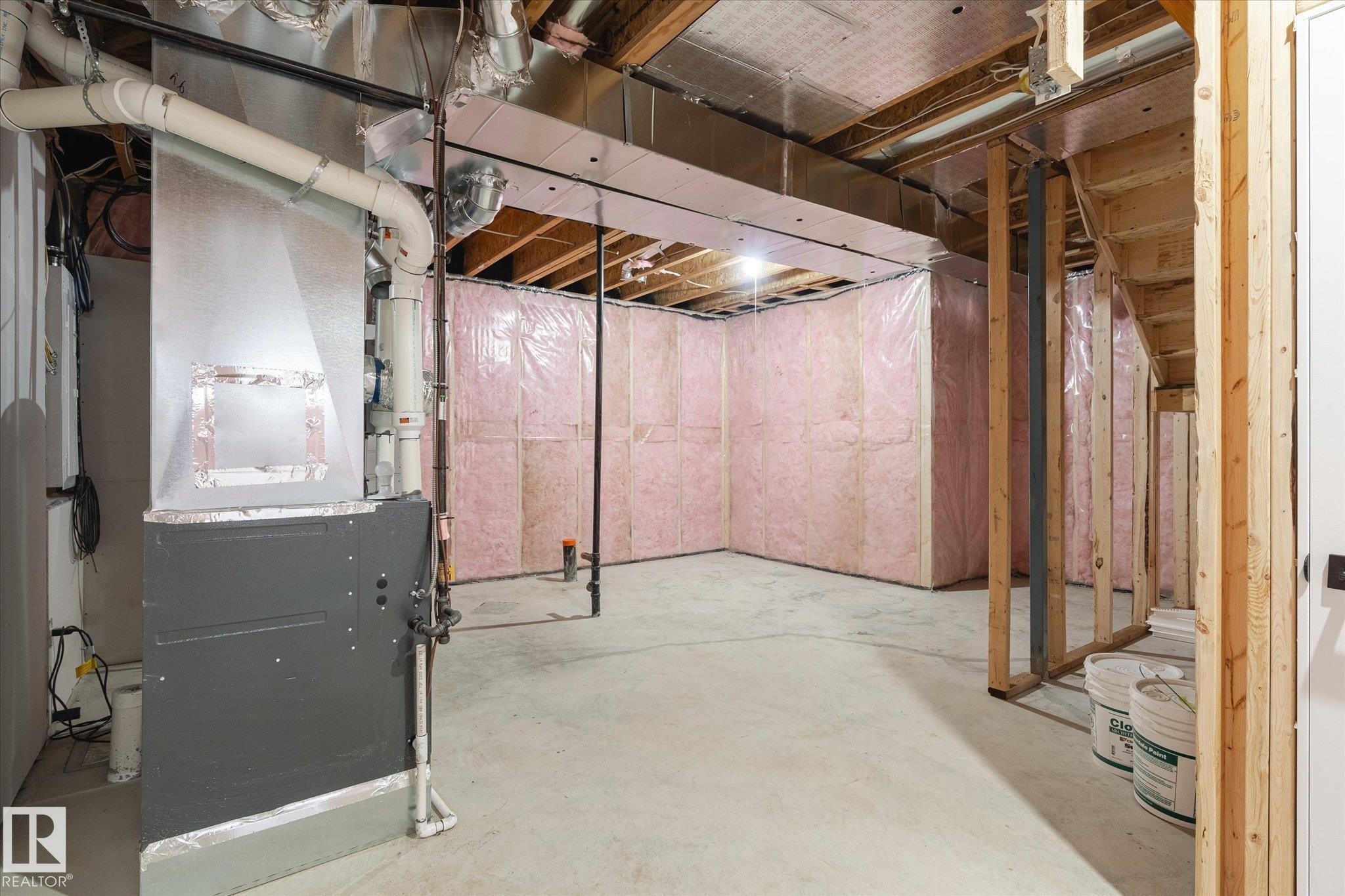22607 89 Avenue, Edmonton, AB - Indoor Photo Showing Basement