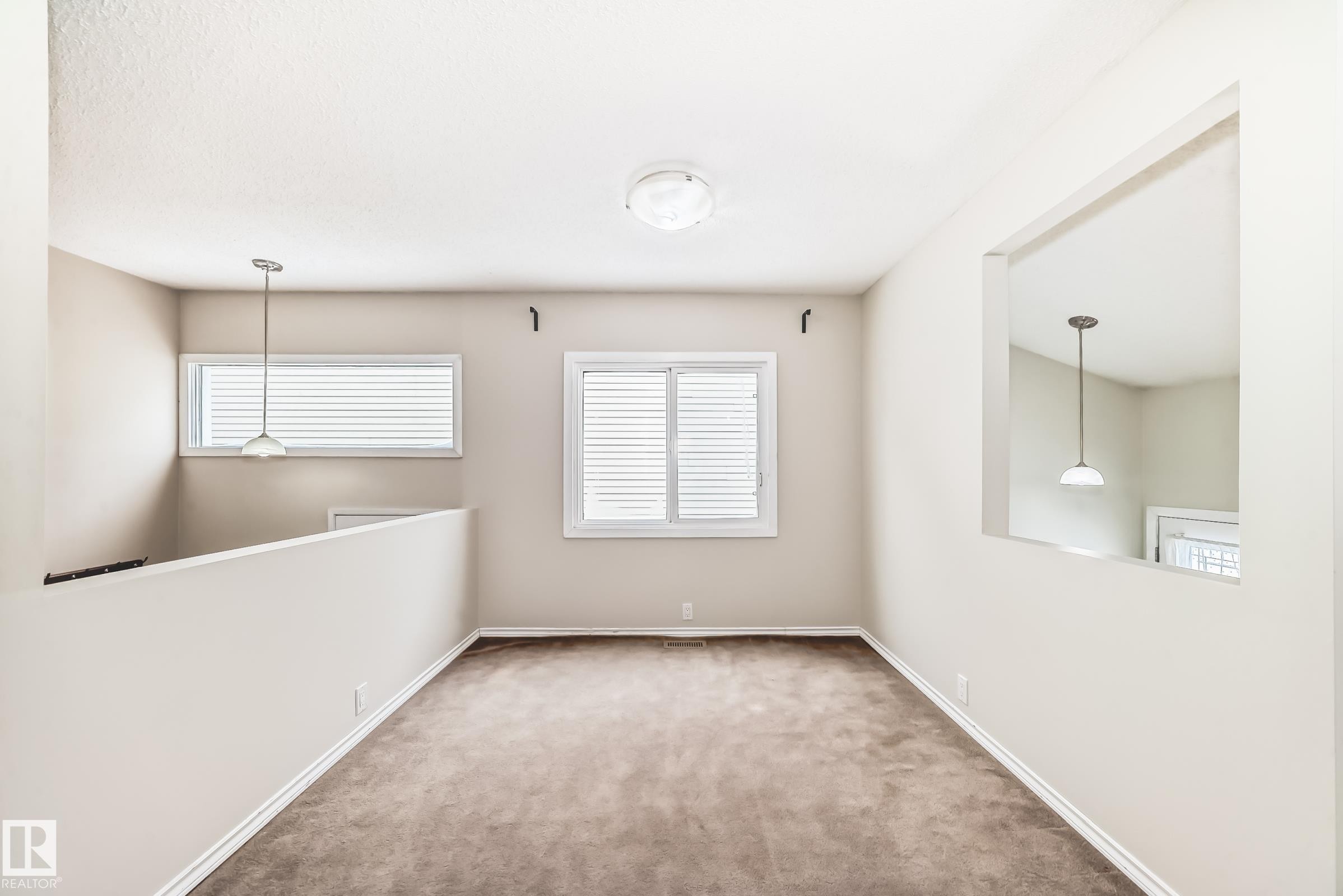 Spare room featuring plenty of natural light and carpet flooring - 5308 20 Avenue, Edmonton, AB - Indoor Photo Showing Other Room