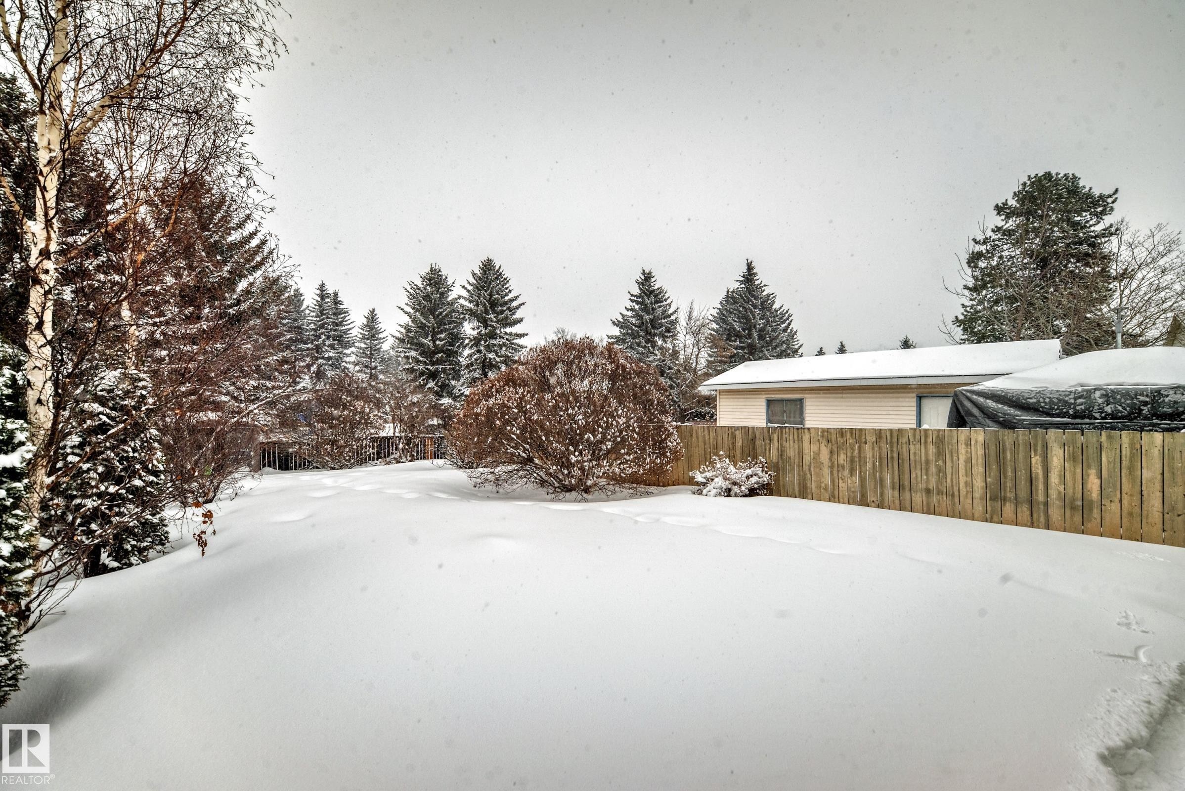 View of yard layered in snow - 5308 20 Avenue, Edmonton, AB - Outdoor