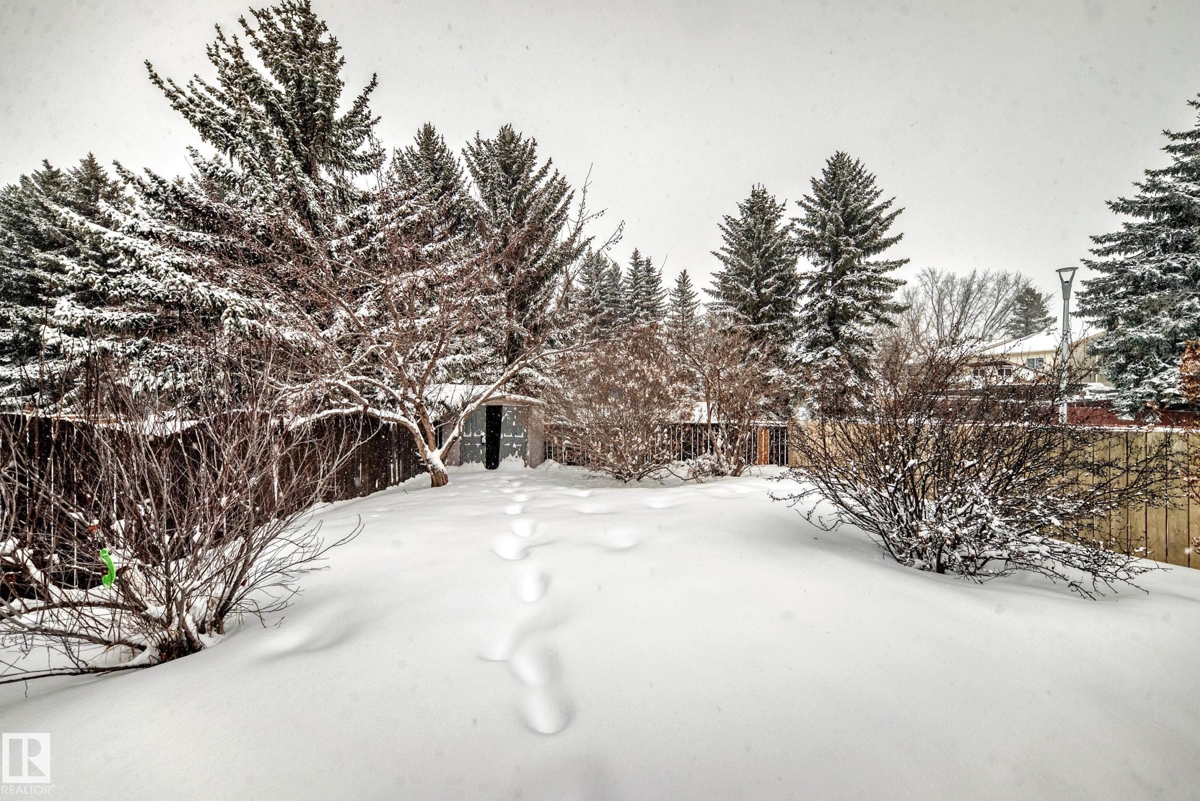 View of yard layered in snow - 5308 20 Avenue, Edmonton, AB - Outdoor